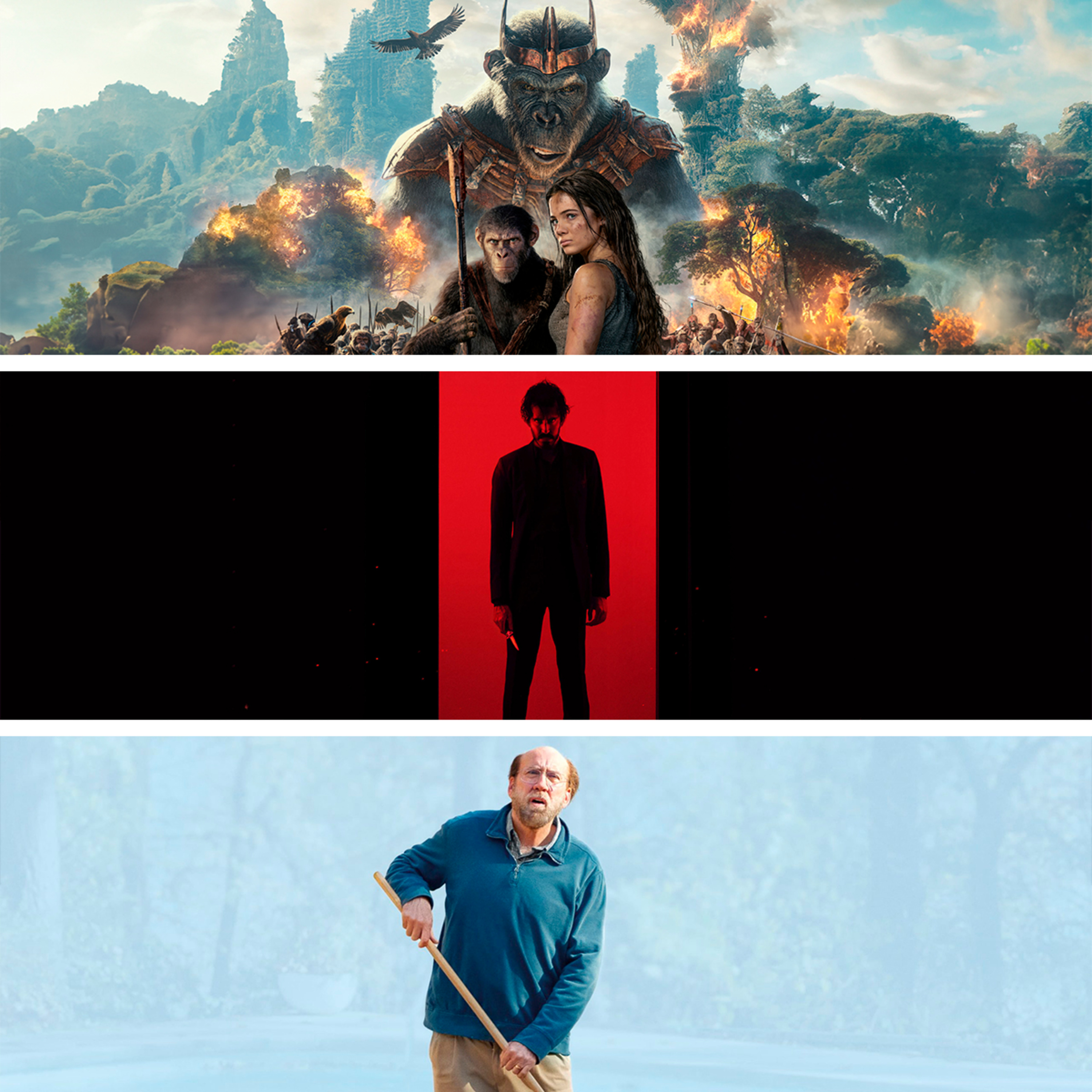 Los Cinecluberos