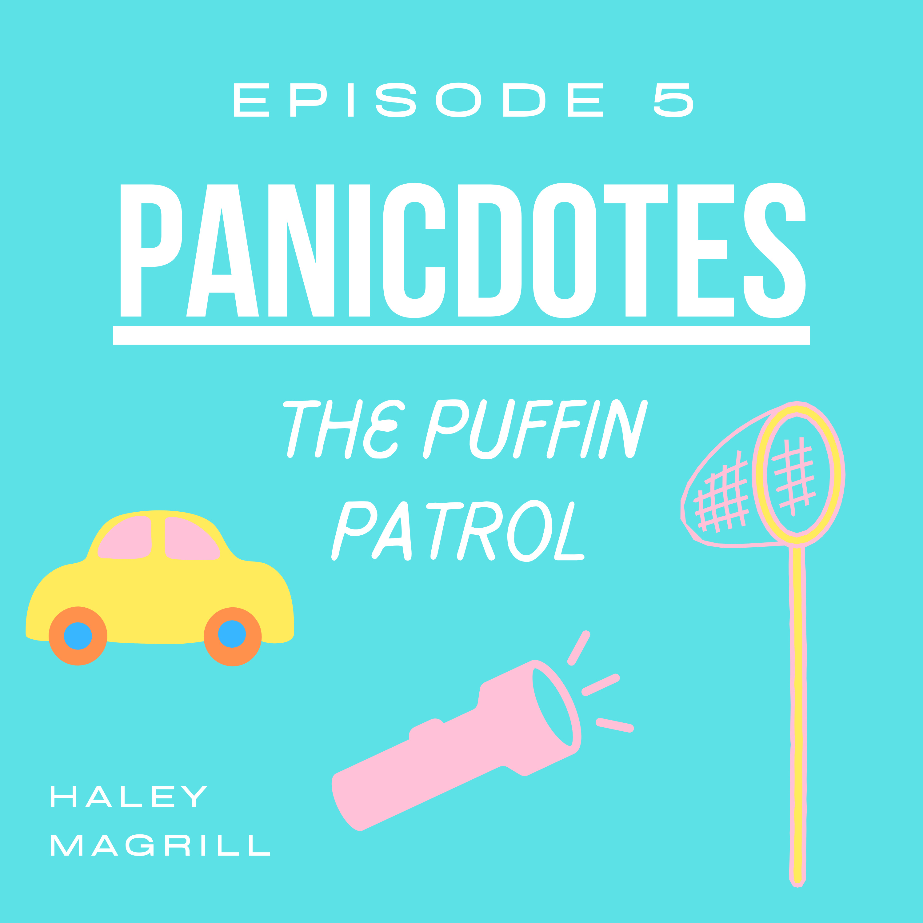 The Puffin Patrol episode artwork