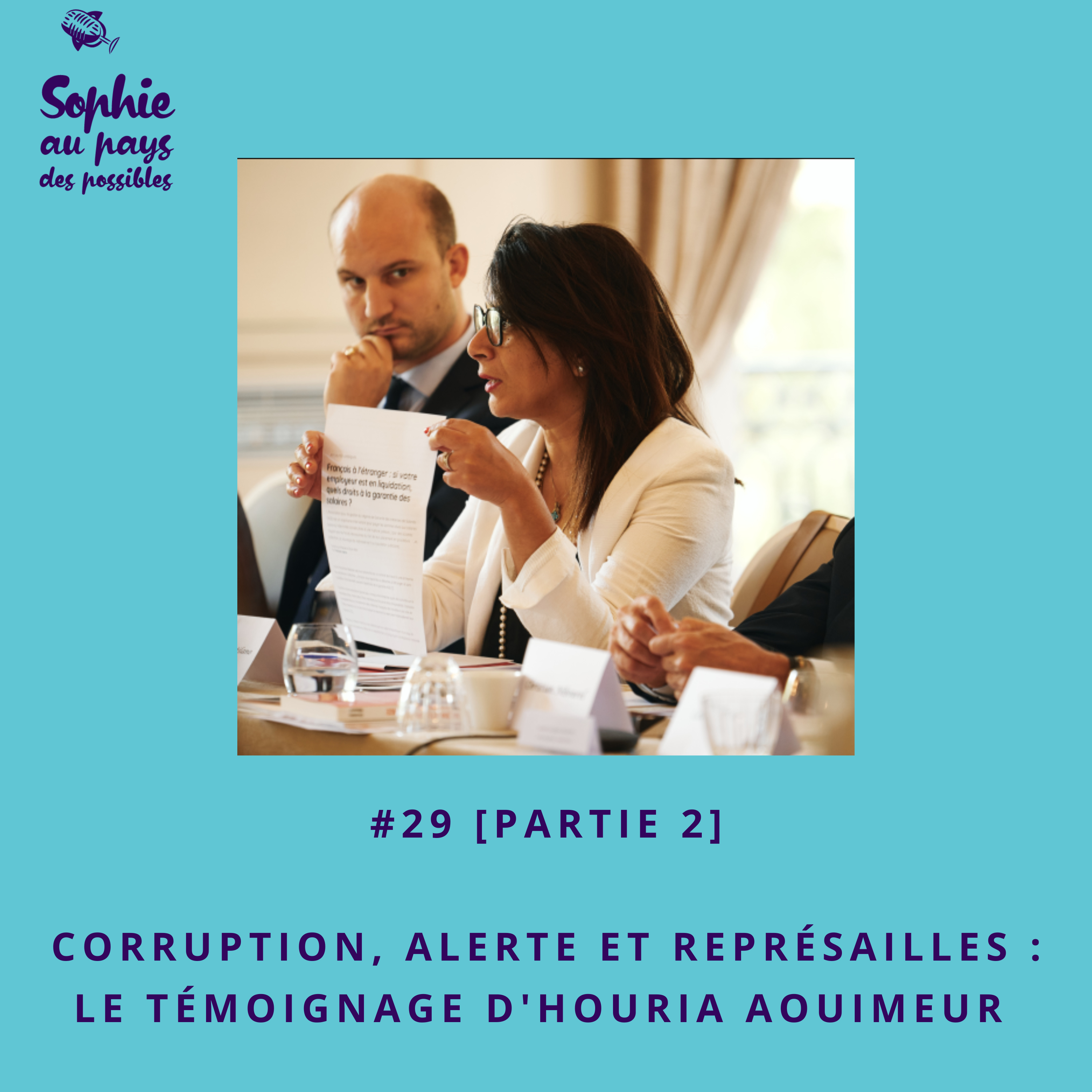 Corruption et évasion fiscale, Sophie au pays des possibles