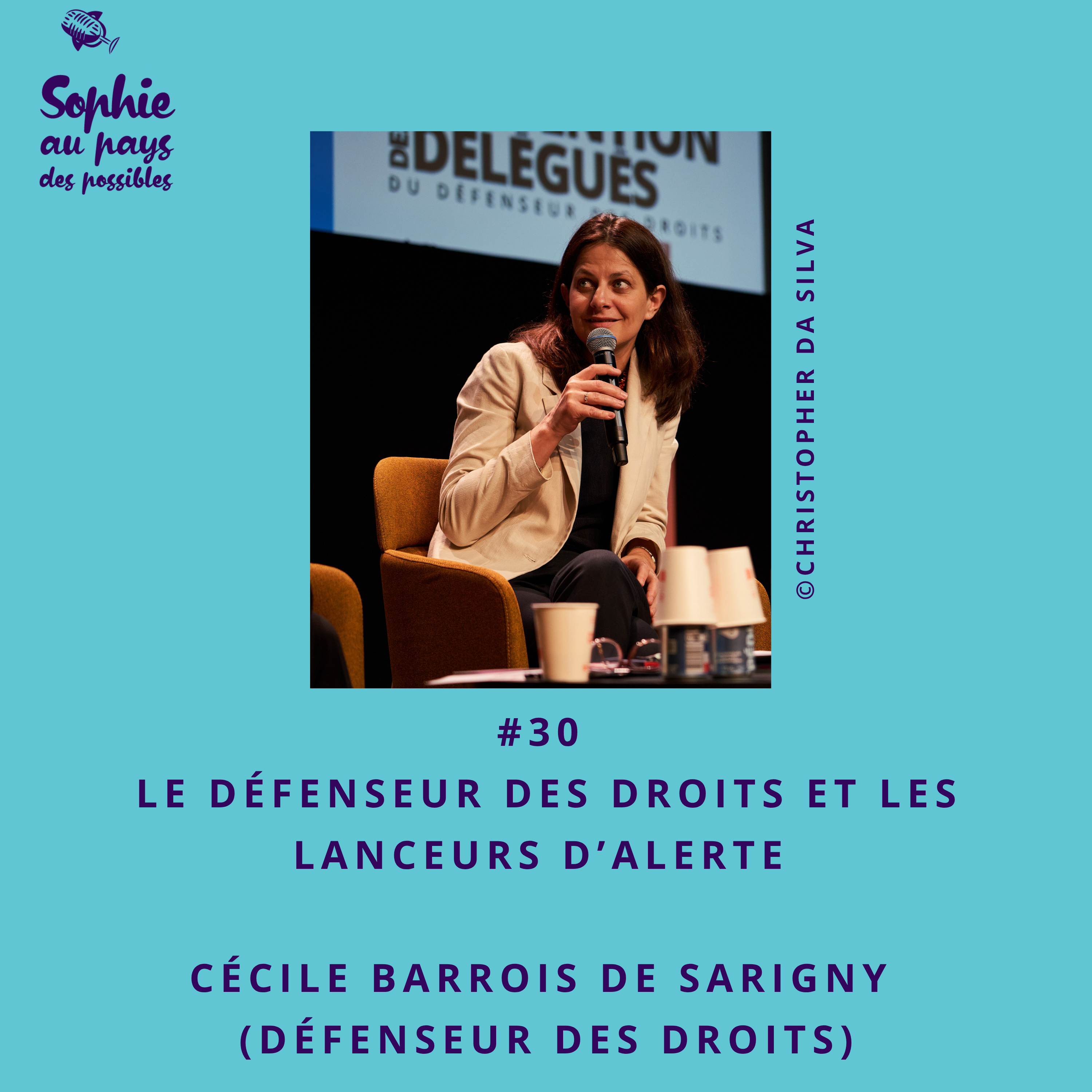 Corruption et évasion fiscale, Sophie au pays des possibles