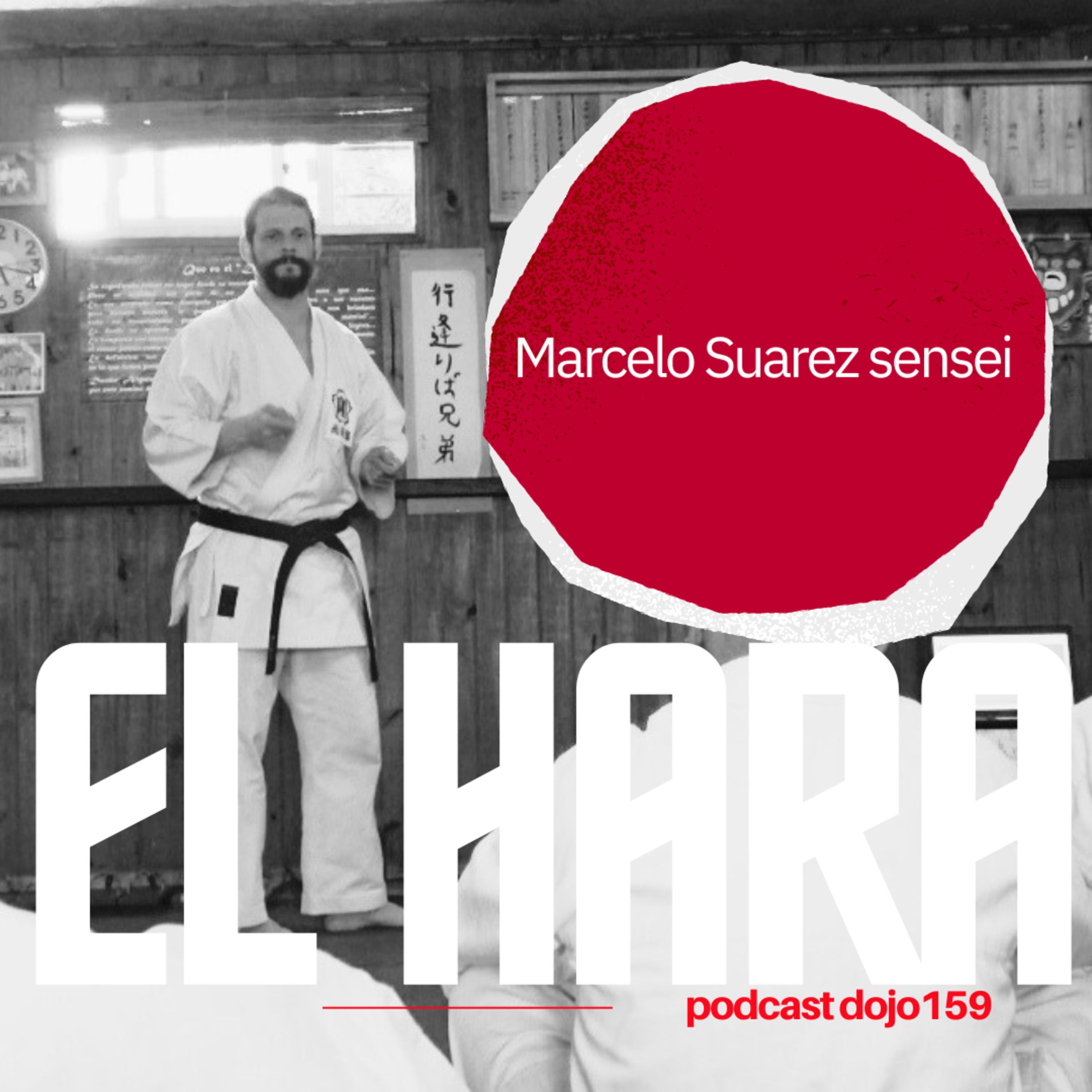 El Hara, el núcleo, el core - El fundamento anatómico del Karate - Episodio 159 episode artwork