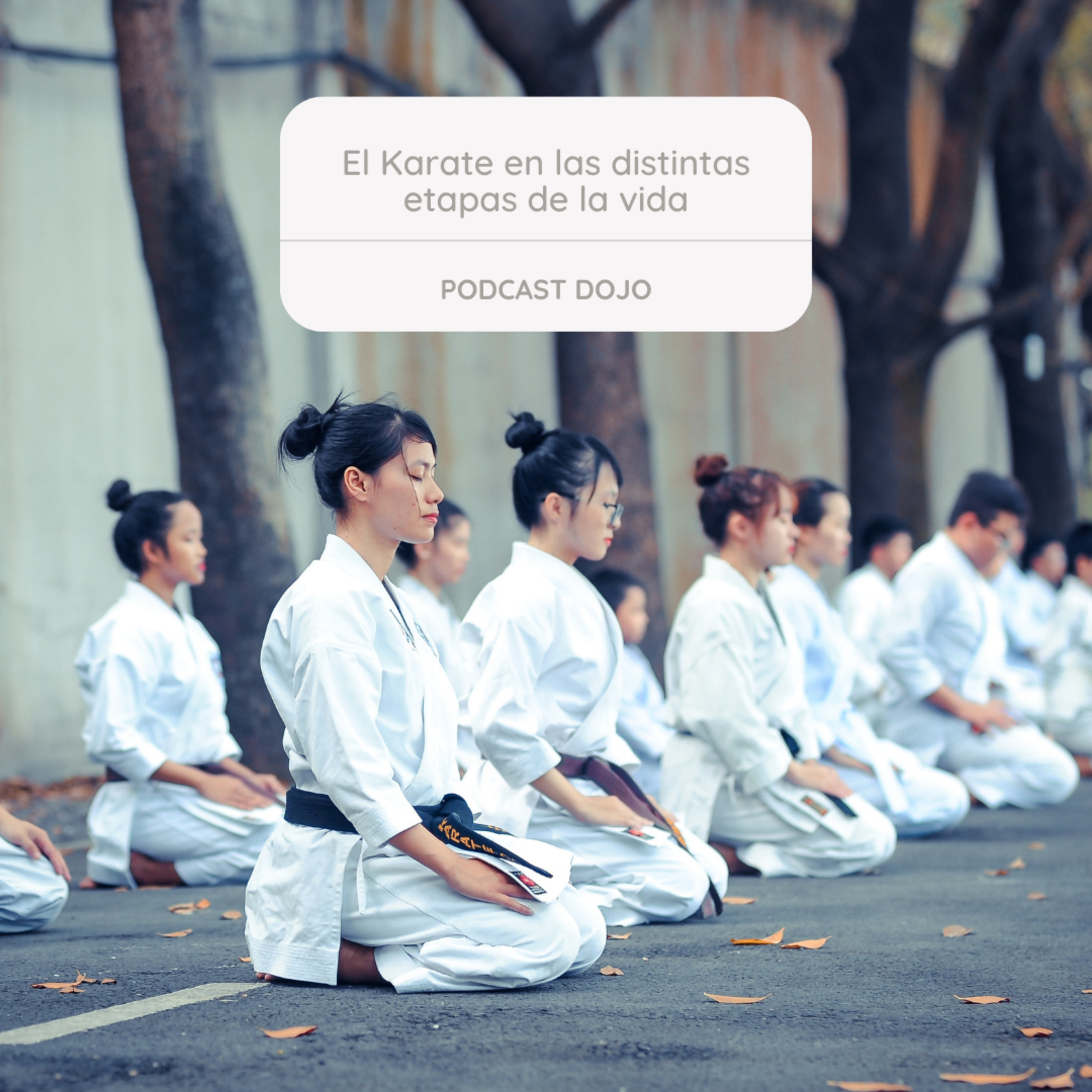 Podcast Dojo - Un podcast sobre Karate y sus practicantes