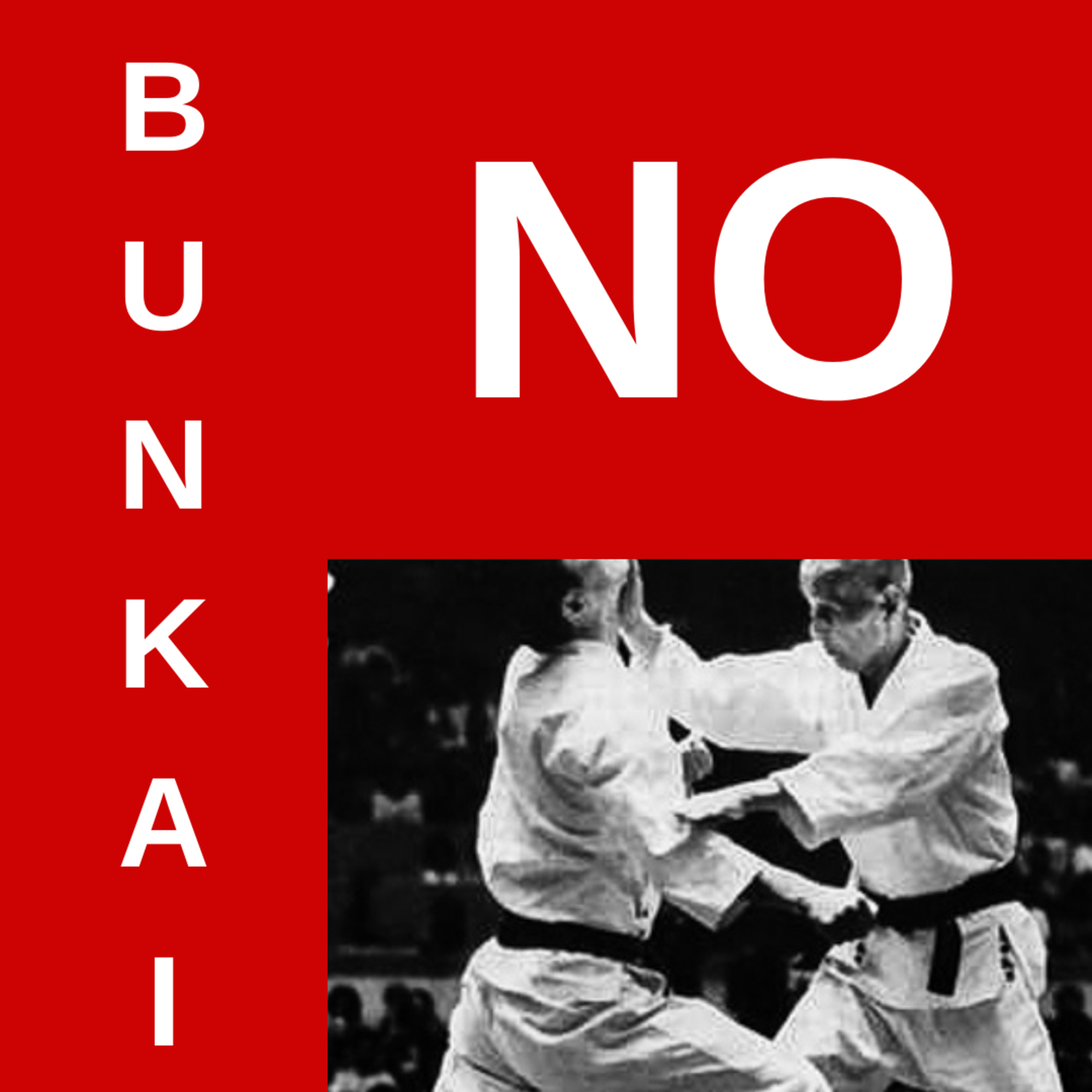 ¡¡El bunkai NO es la aplicación de una técnica!! - Episodio 219 episode artwork