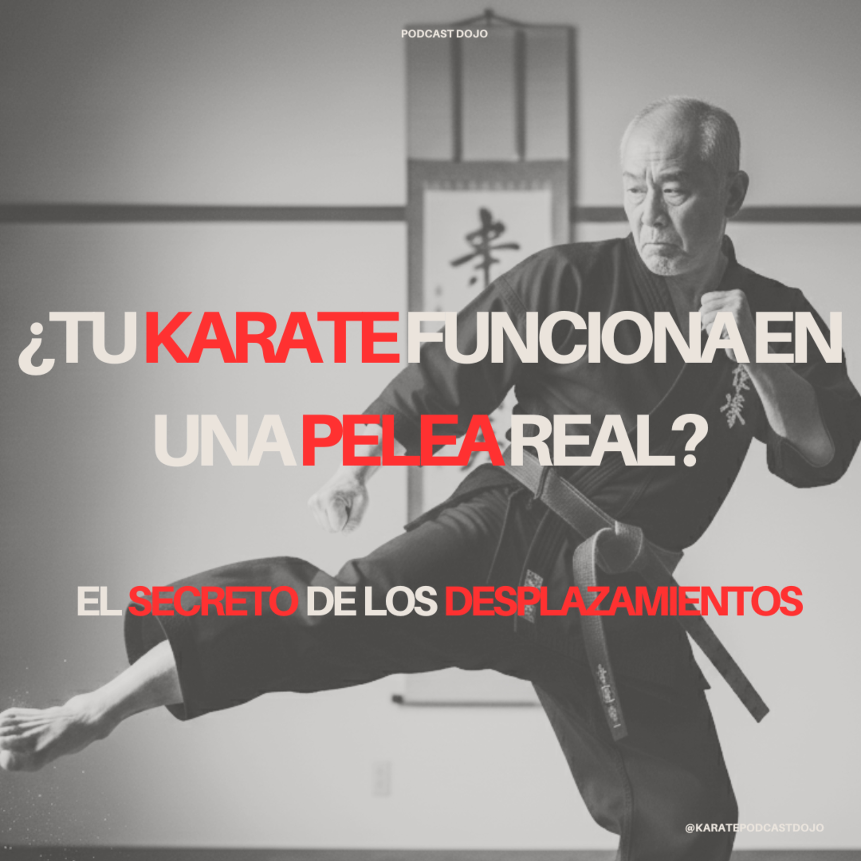 ¿Tu Karate funciona en una pelea real? | El Secreto de los Desplazamientos