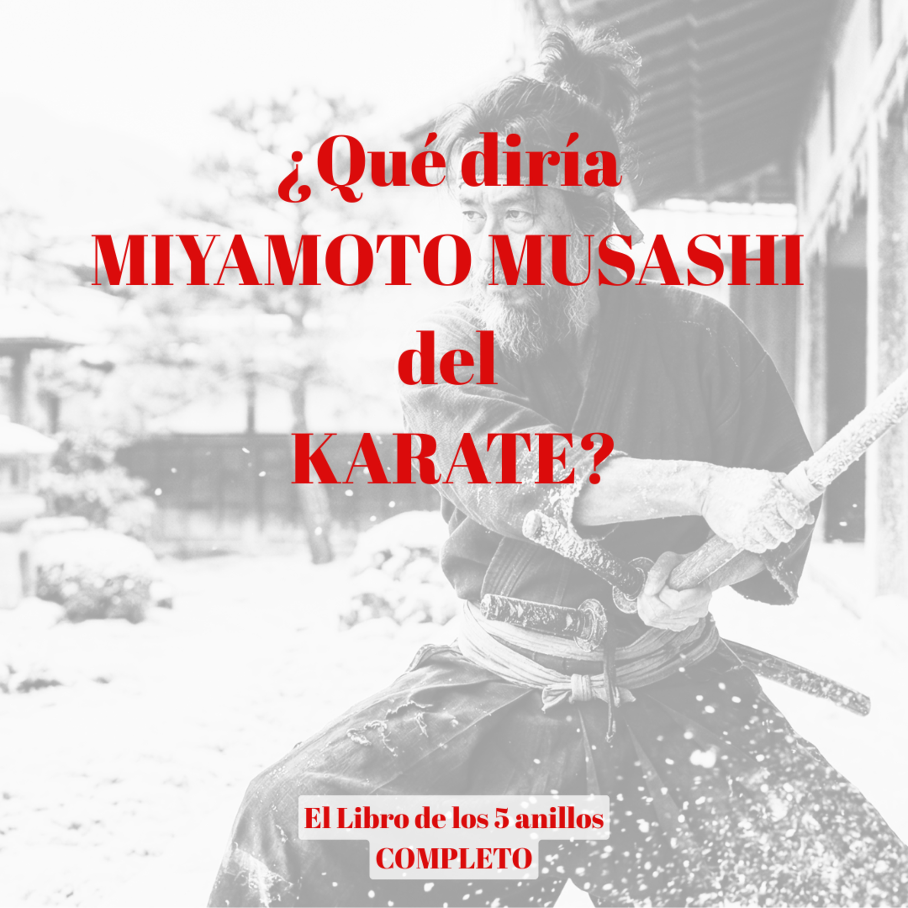 El Karate y El libro de los 5 anillos de Miyamoto Musashi