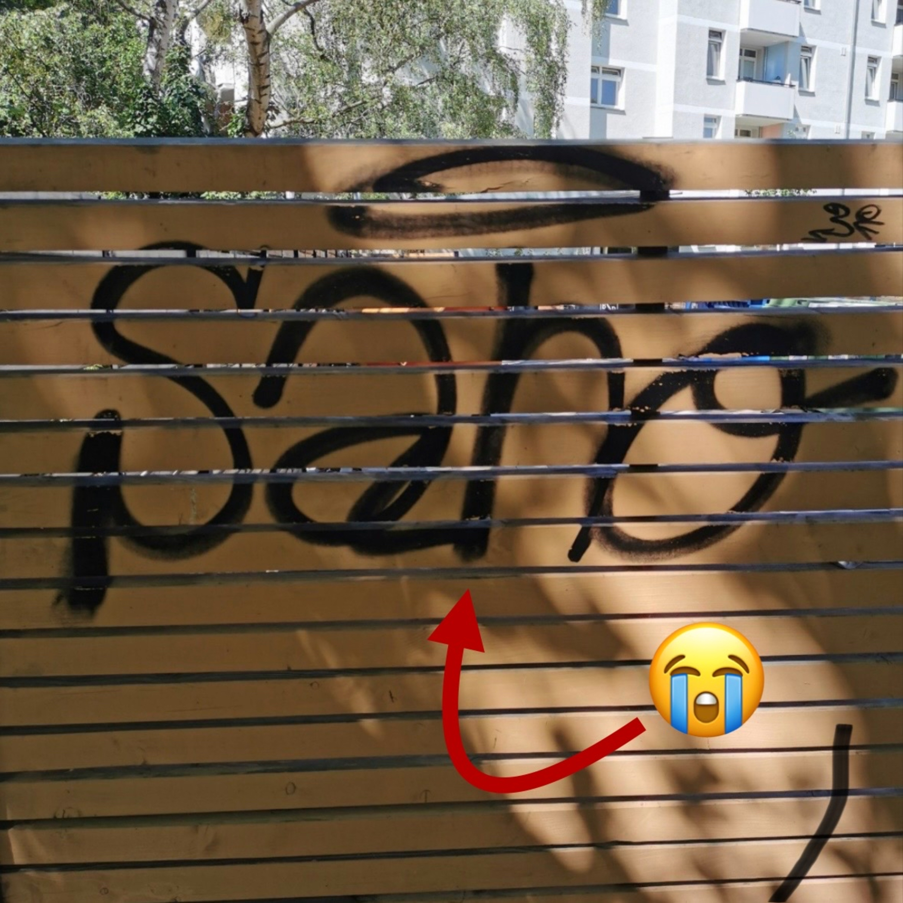 🫩Diese Namen solltet ihr auf KEINEN Fall als Writer in der Graffiti Szene geben🙅‍♂️ episode artwork