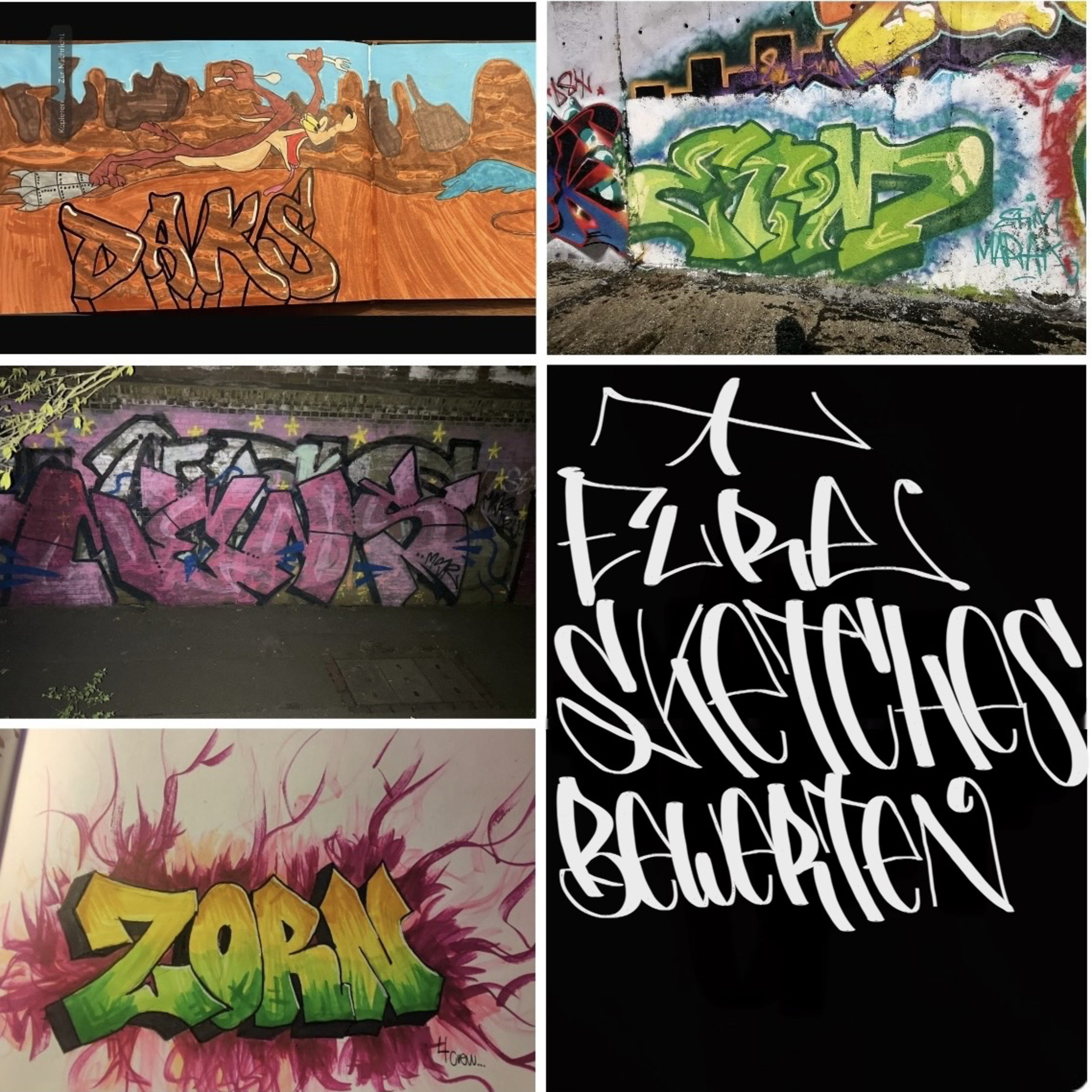 🫟Eure Sketches/ Pieces bewerten-mit Leo/Shamerone🔥 episode artwork