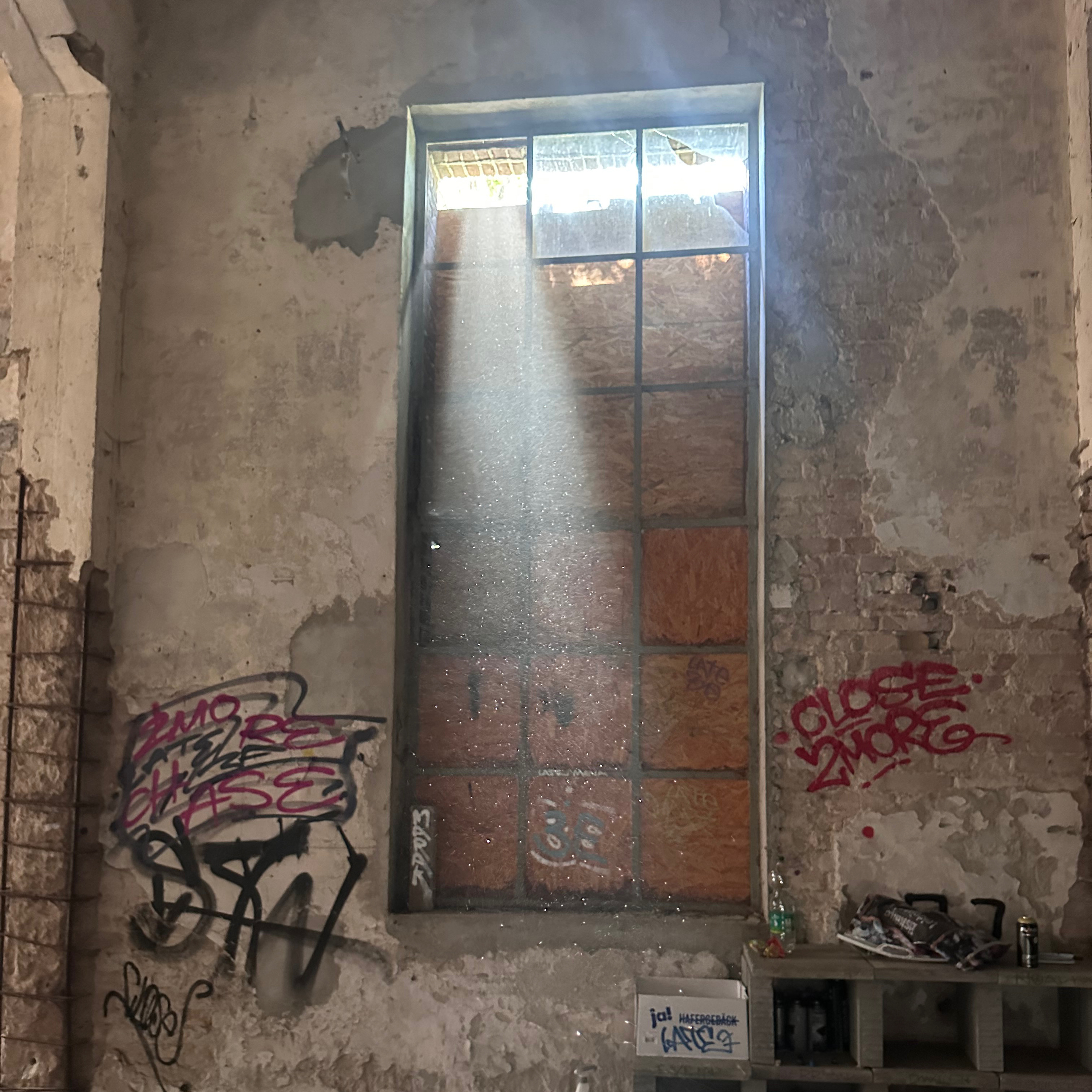 Frustrierte Familie ruft wegen unserer Lostplace Begeisterung die Polizei—komplettes Chaos🏚️ episode artwork