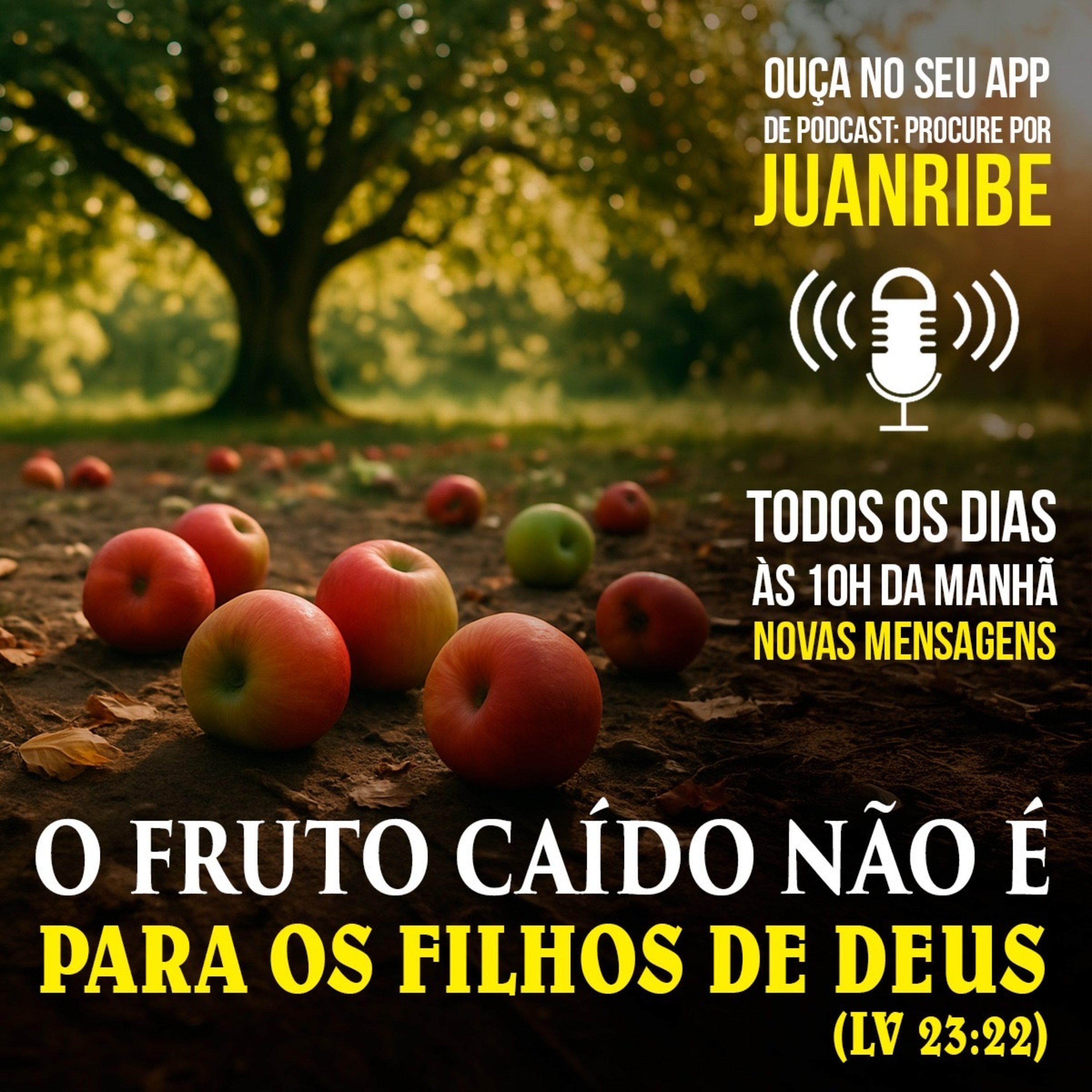 Juanribe