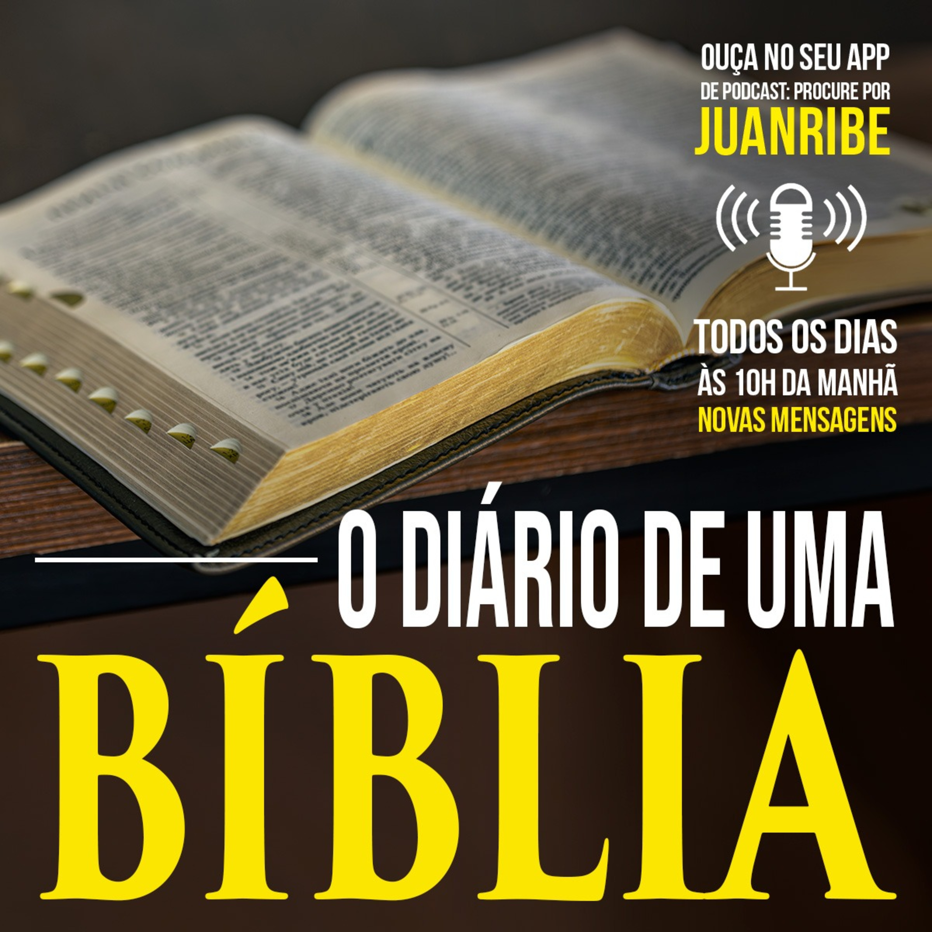 O Diário de Uma Bíblia