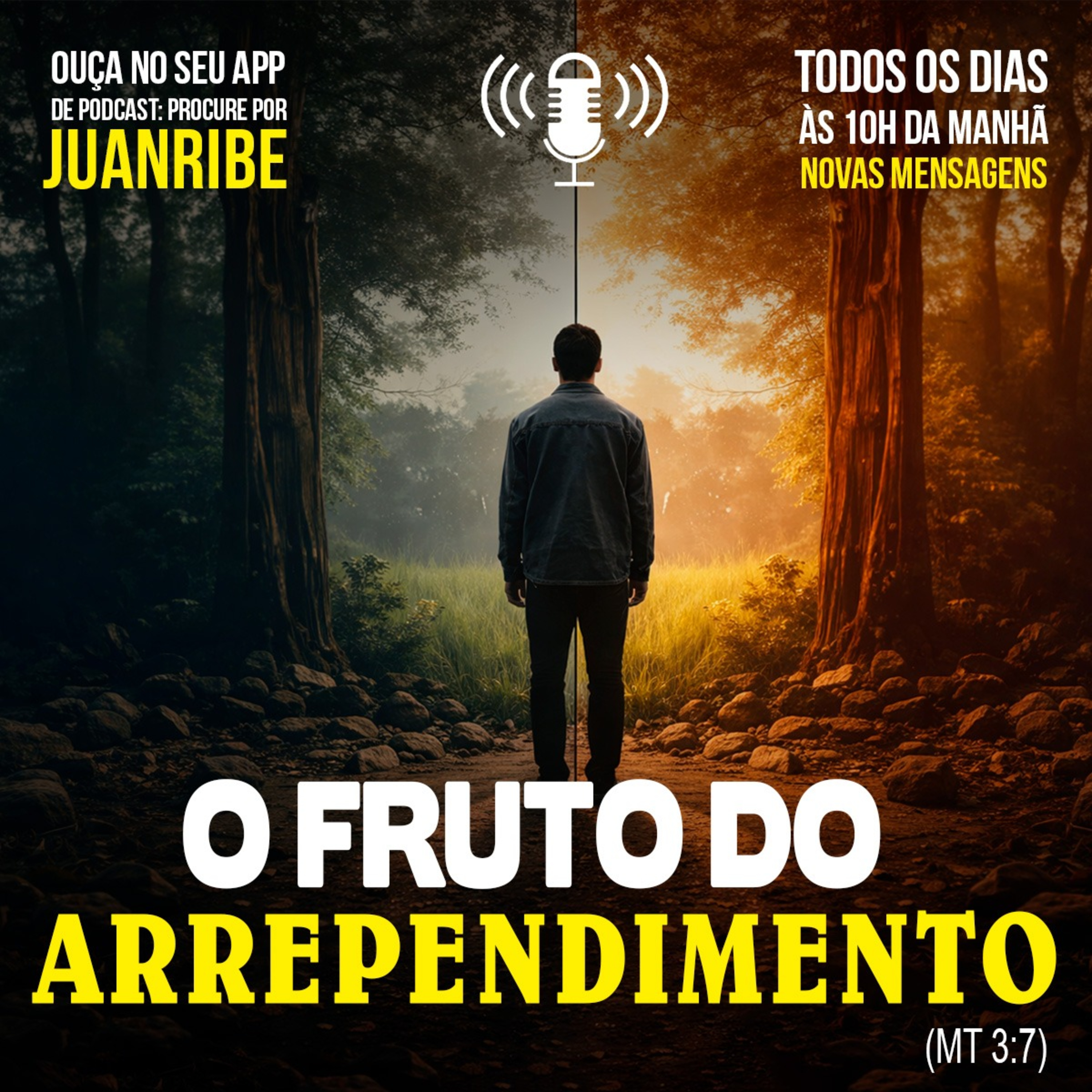 O Fruto do Arrependimento (Mt 03 07)