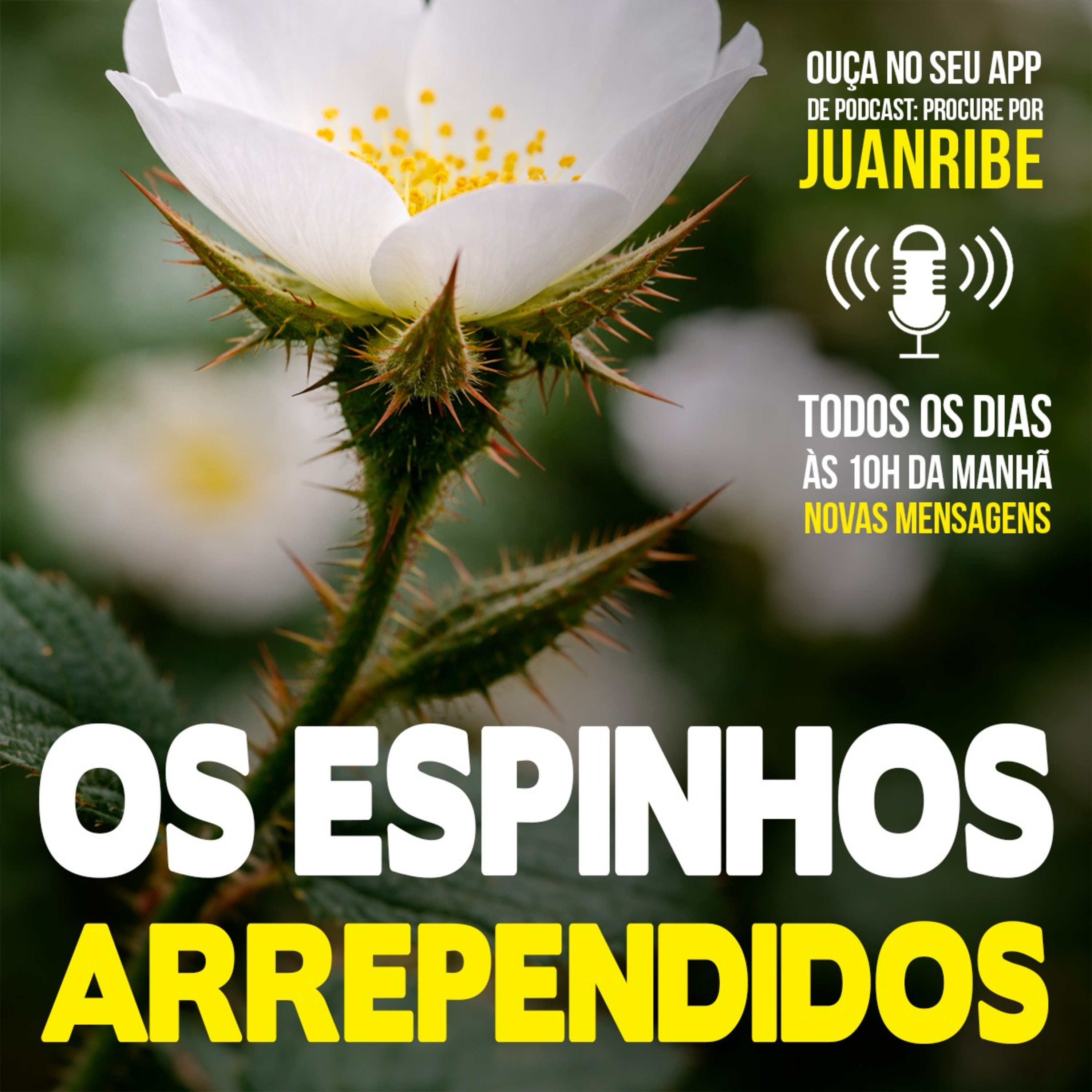 OS ESPINHOS ARREPENDIDOS