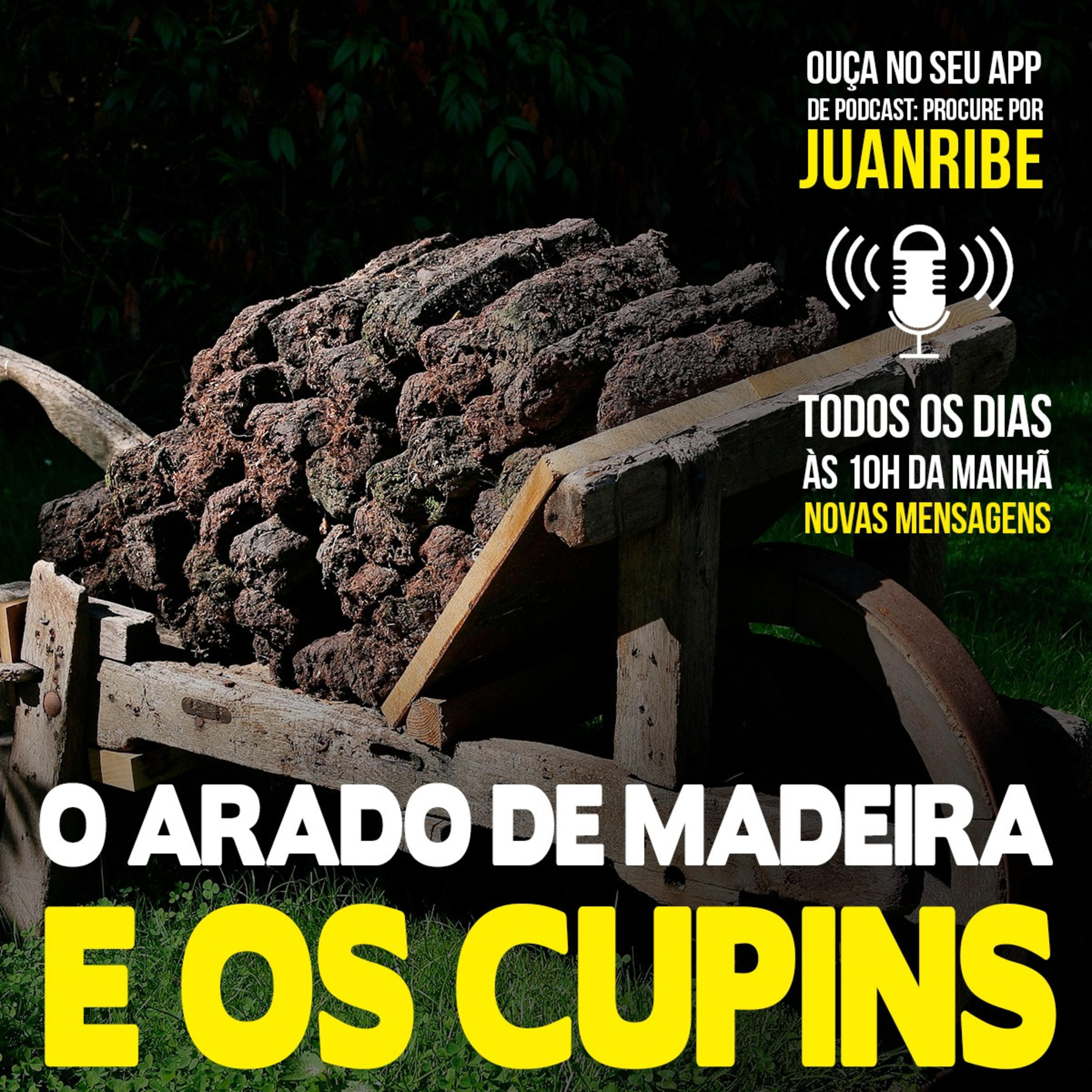 O Arado de Madeira e os Cupins