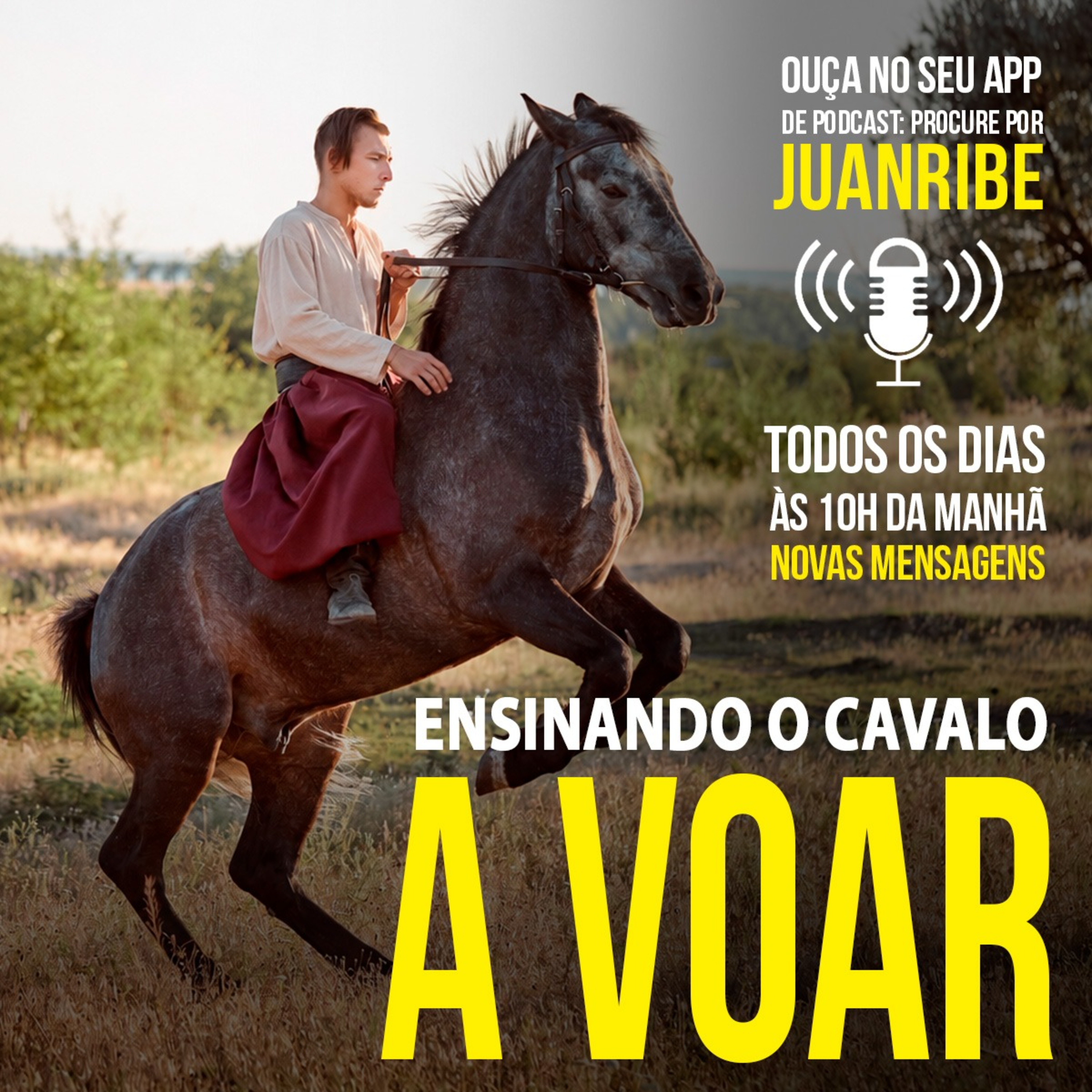 Ensinando o Cavalo a Voar