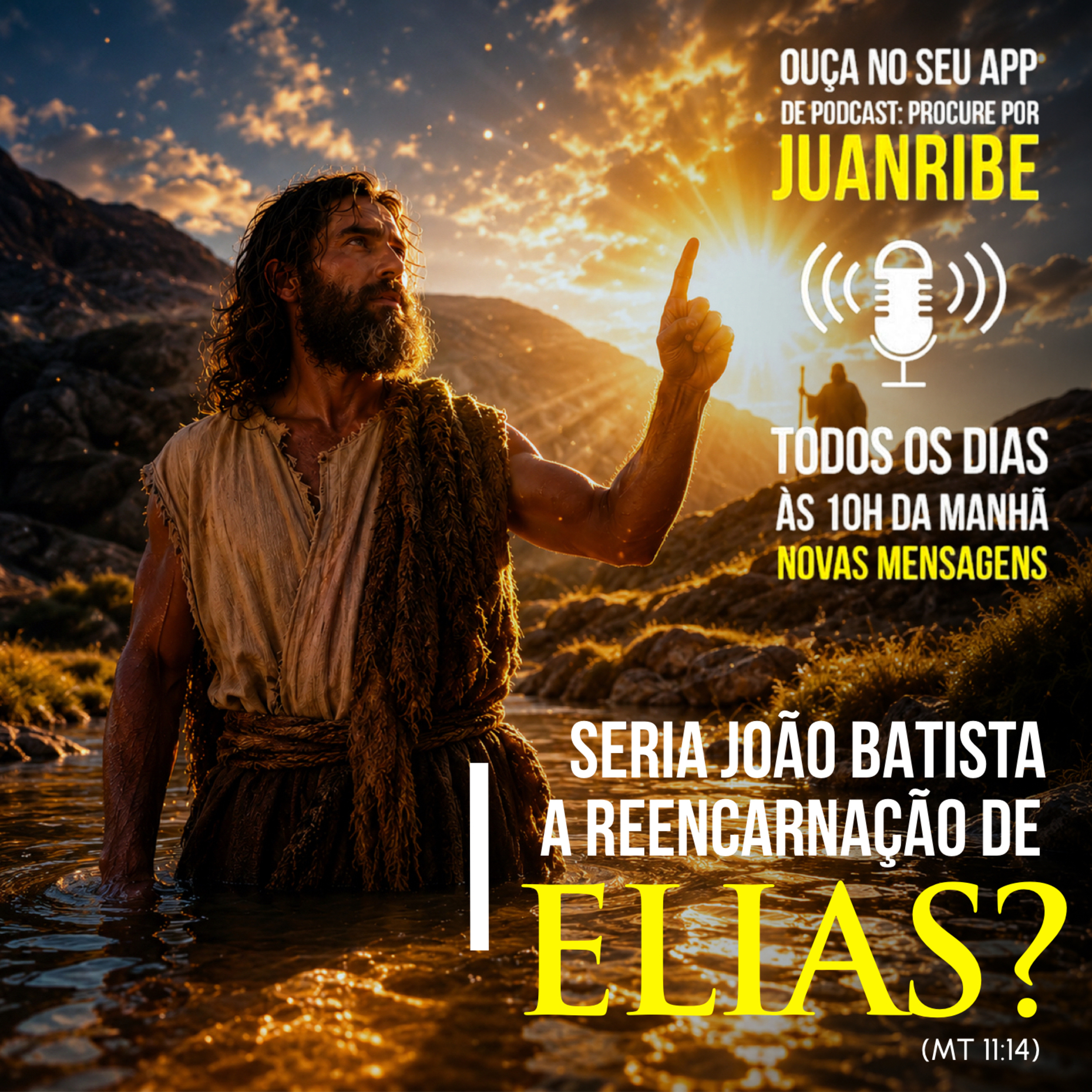 Seria João Batista a Reencarnação de Elias (Mt 11 14)  episode artwork