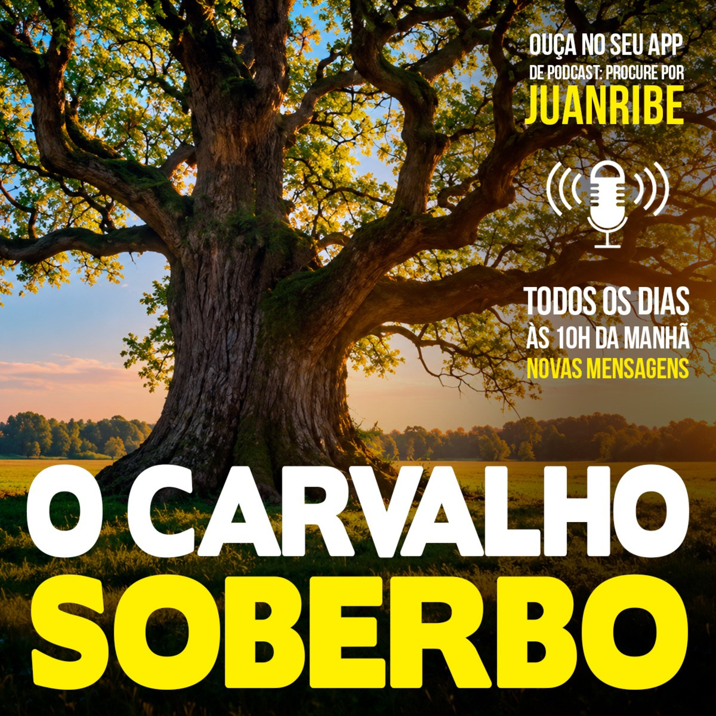 O Carvalho Soberbo