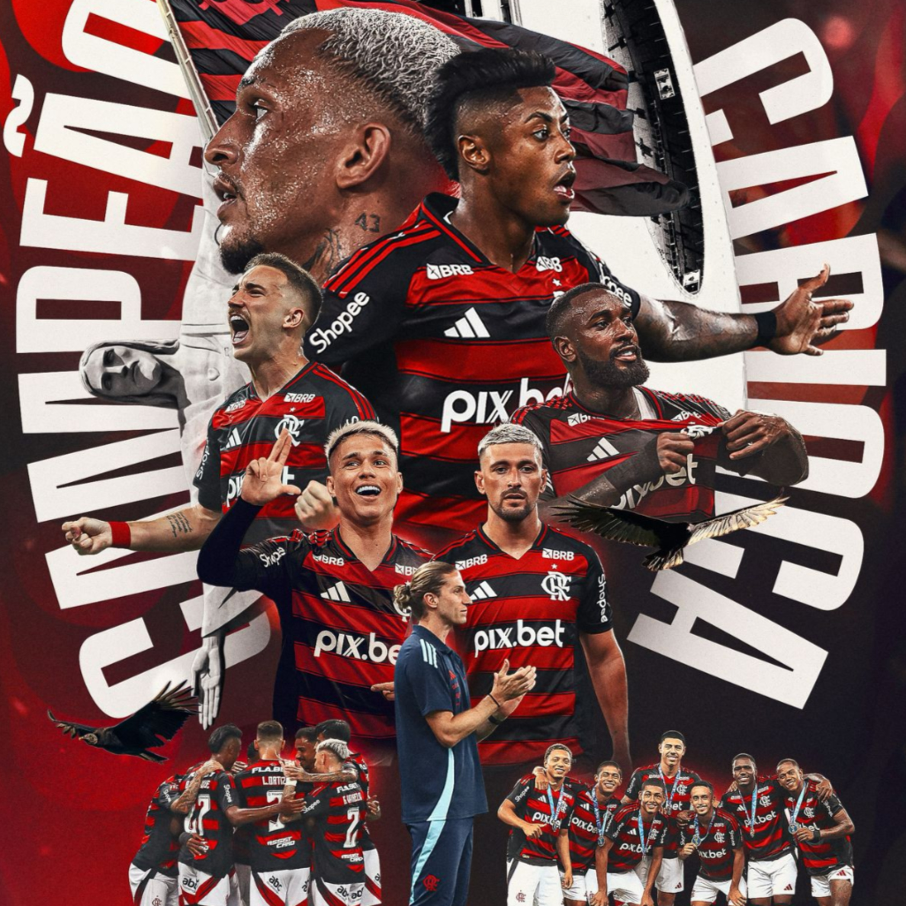 Flamengo Campeão Carioca episode artwork