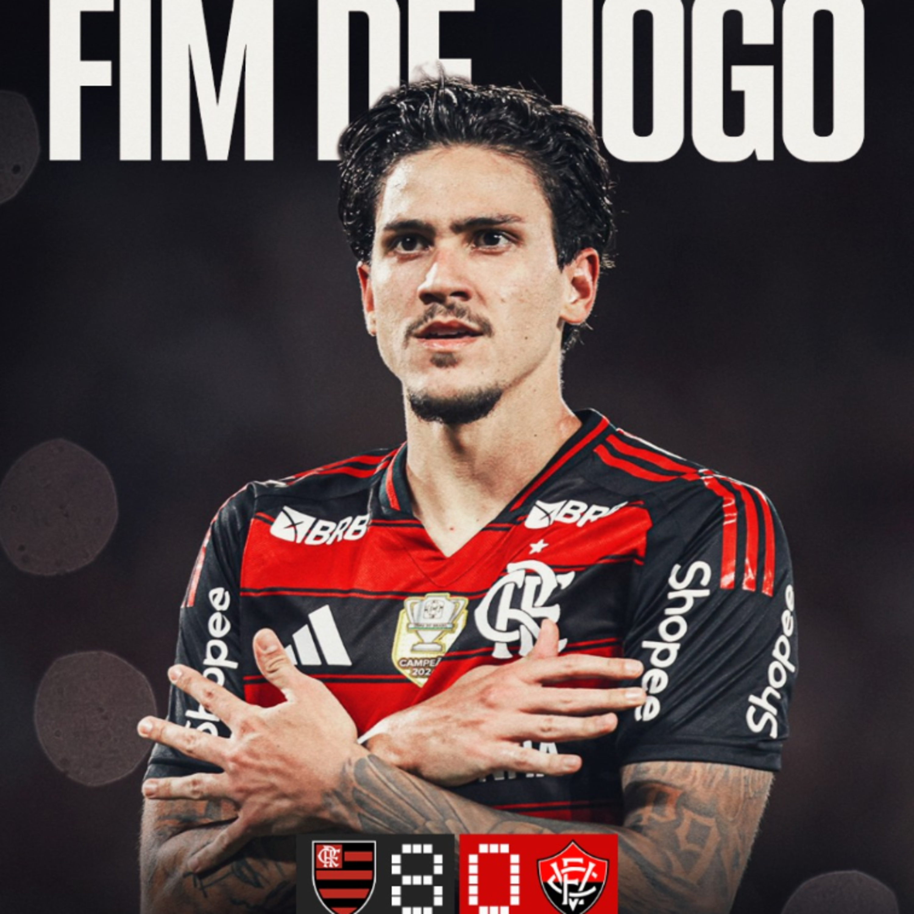 Flamengo 8 x 0 Vitória  episode artwork