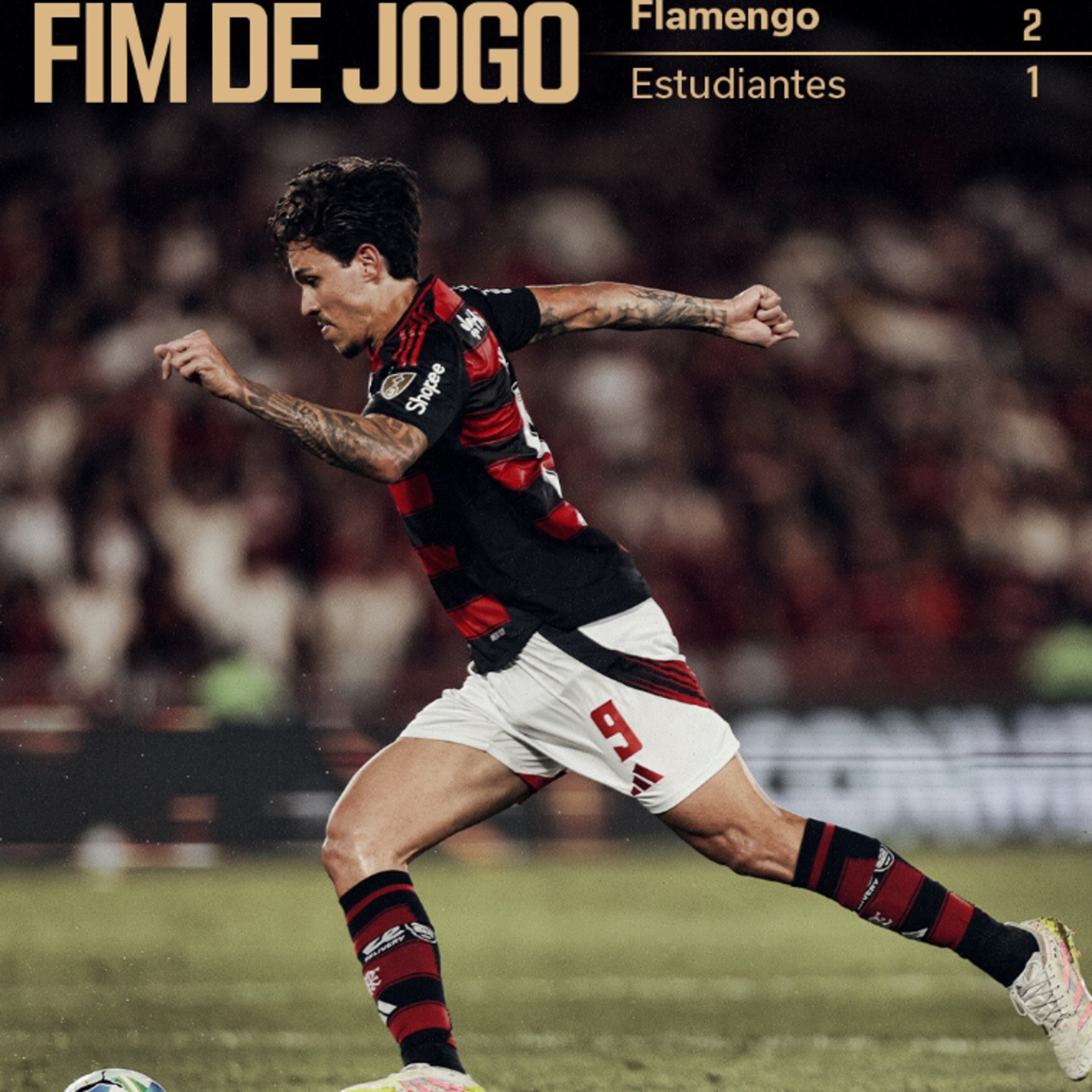 Flamengo 2 x 1 Estudiantes  episode artwork
