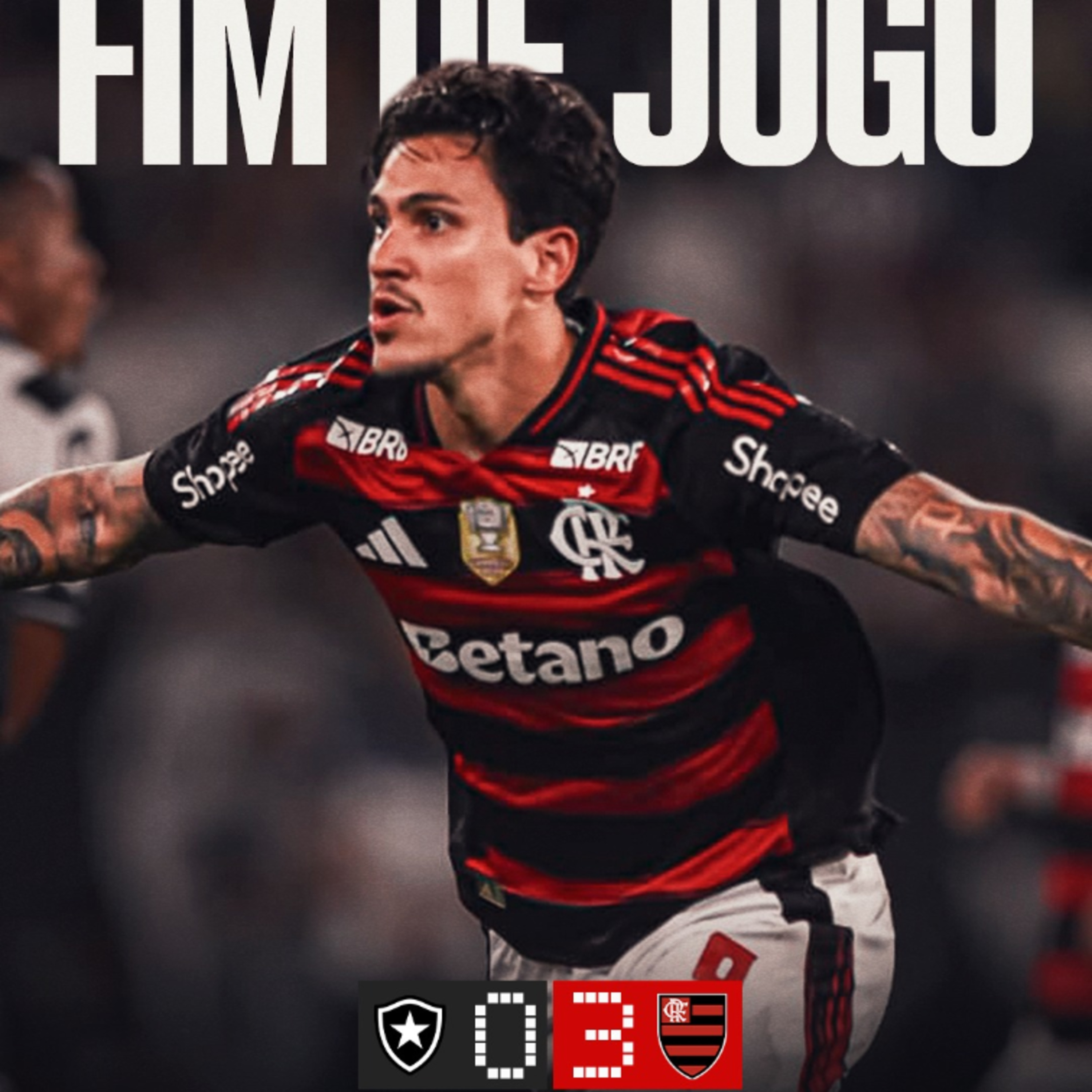 Botafogo 0 x 3 Flamengo  episode artwork