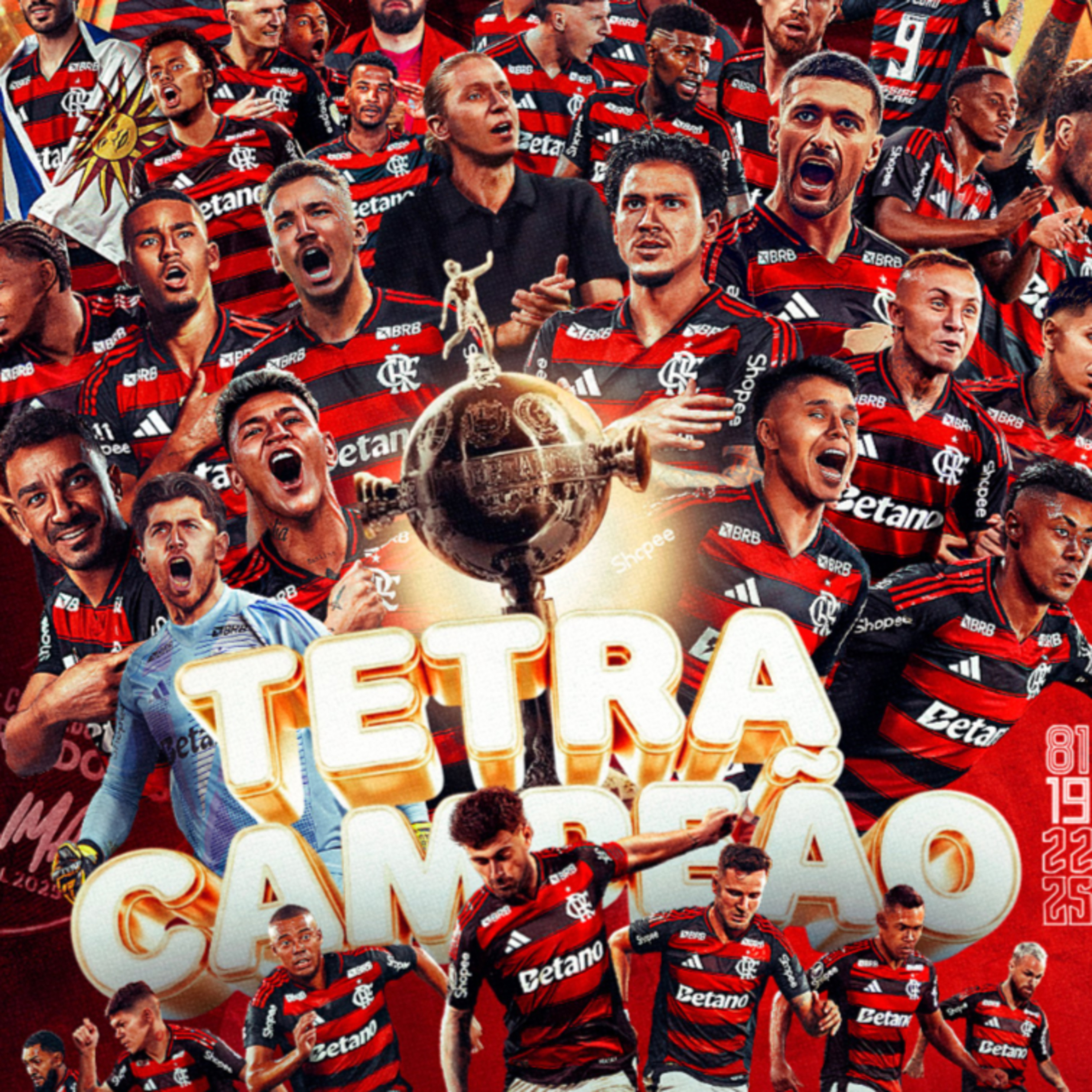 Palmeiras 0 x 1 Flamengo, final da libertadores  episode artwork