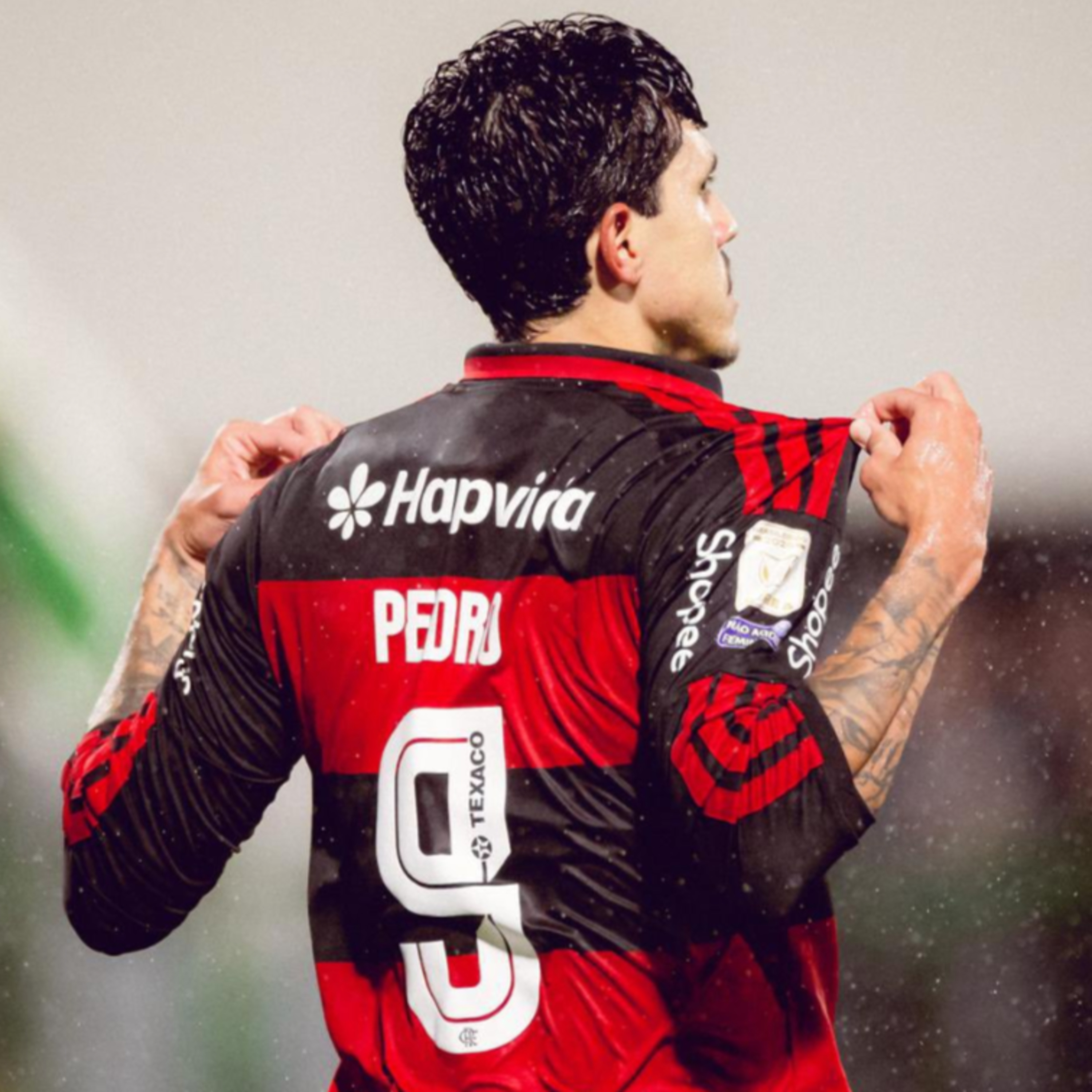 Chapecoense 0 x 4 Flamengo. episode artwork