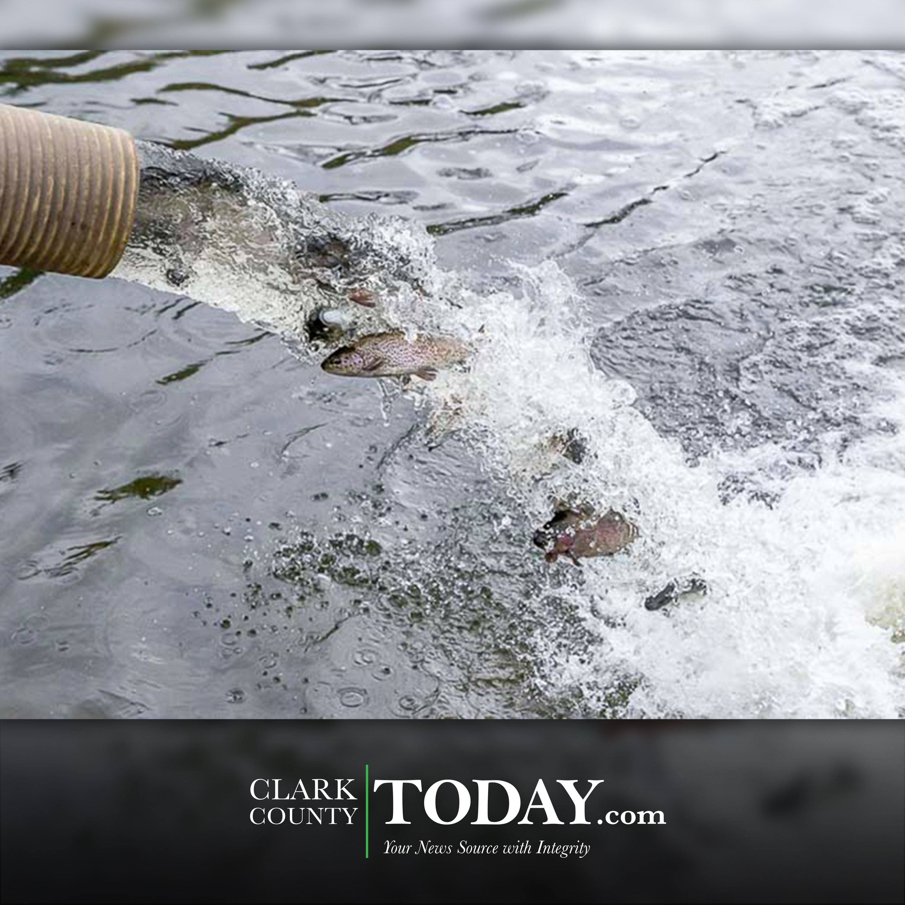 Hundreds of lowland lakes around Washington open for fishing on April 27