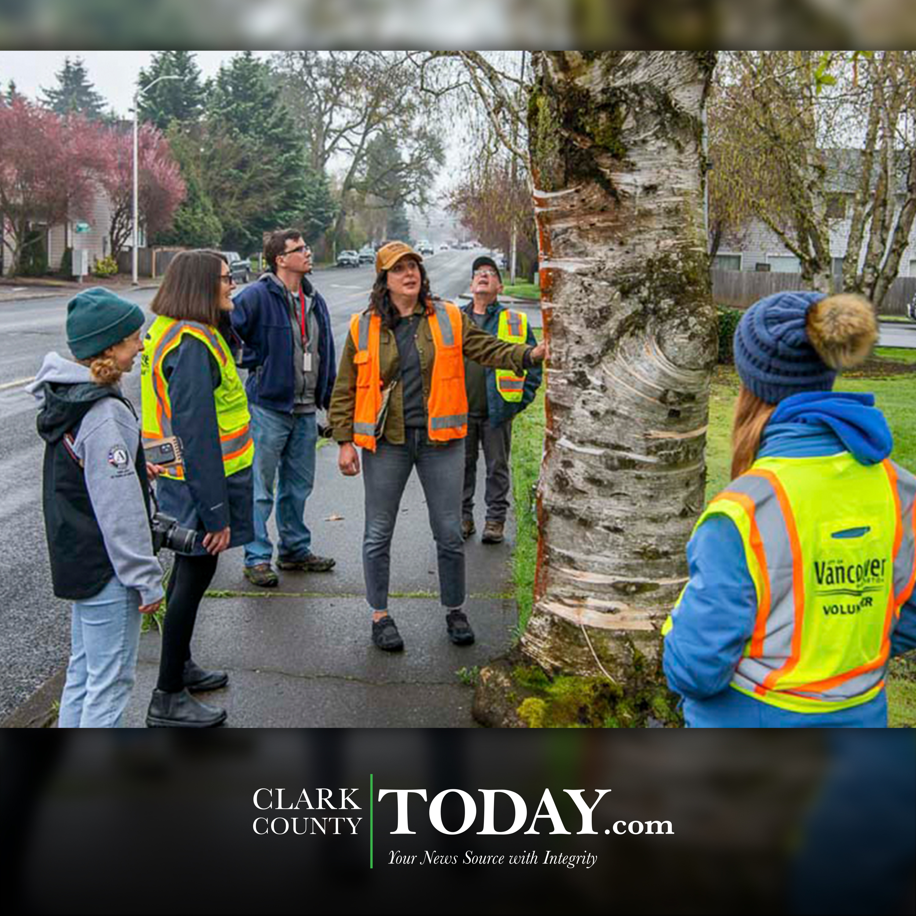 City of Vancouver seeks volunteers to serve on Urban Forestry Commission