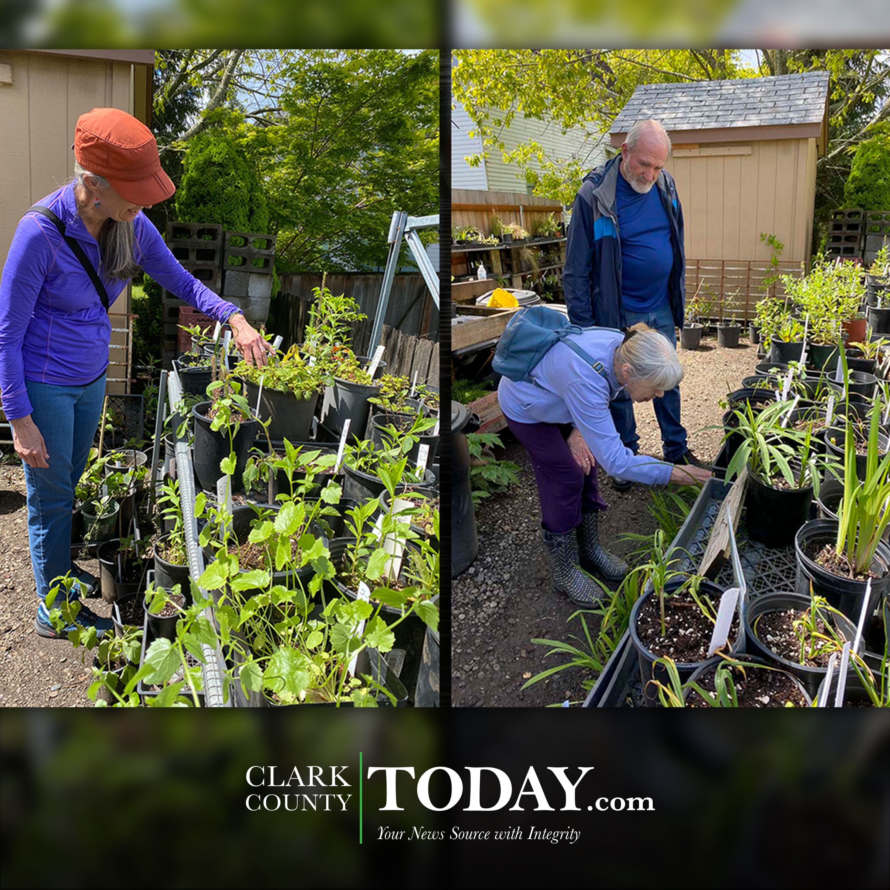 Camas-Washougal Historical Society annual Plant Fair returns