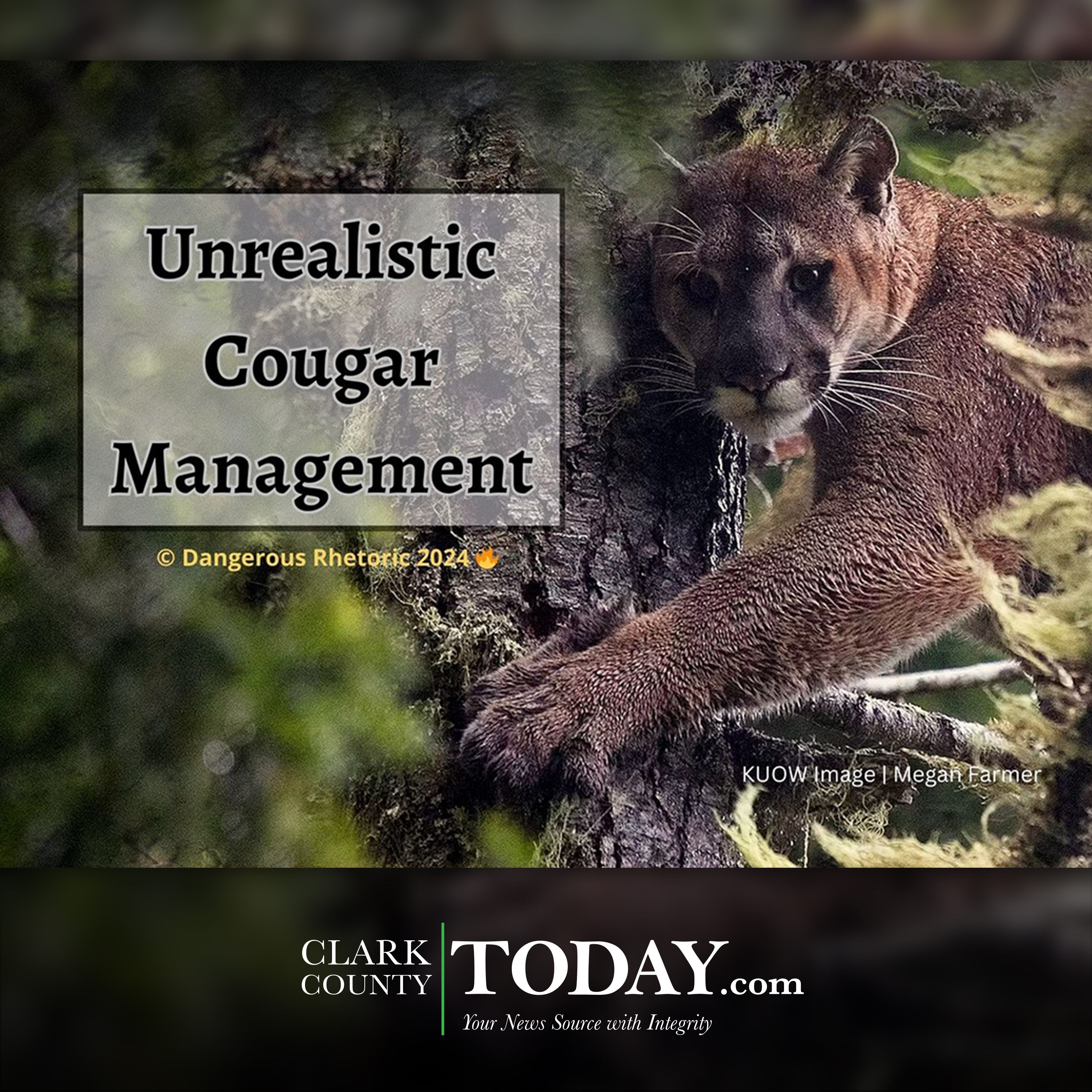 Opinion: Unrealistic cougar management