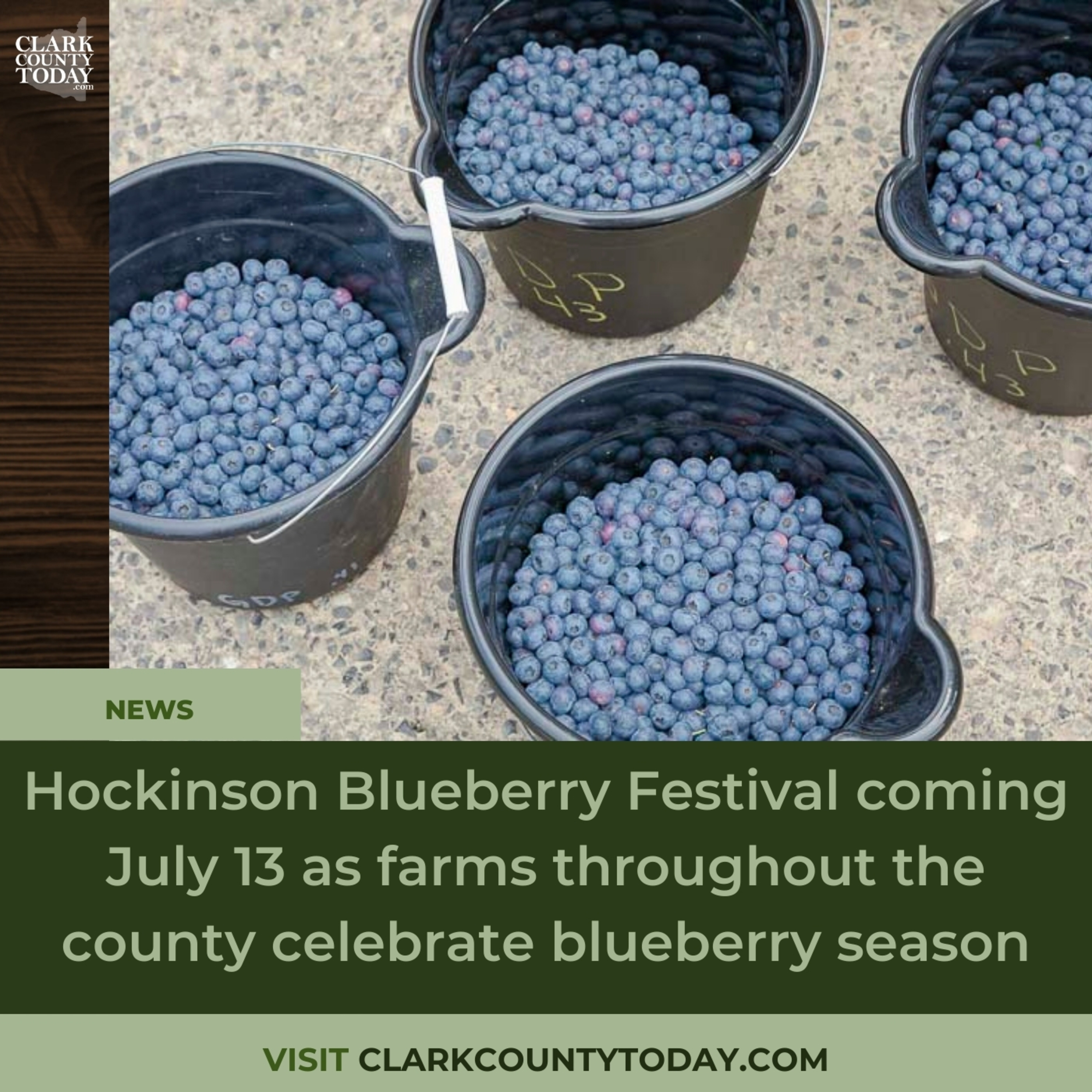 Hockinson Blueberry Festival coming July 13 as farms throughout the county celebrate blueberry season