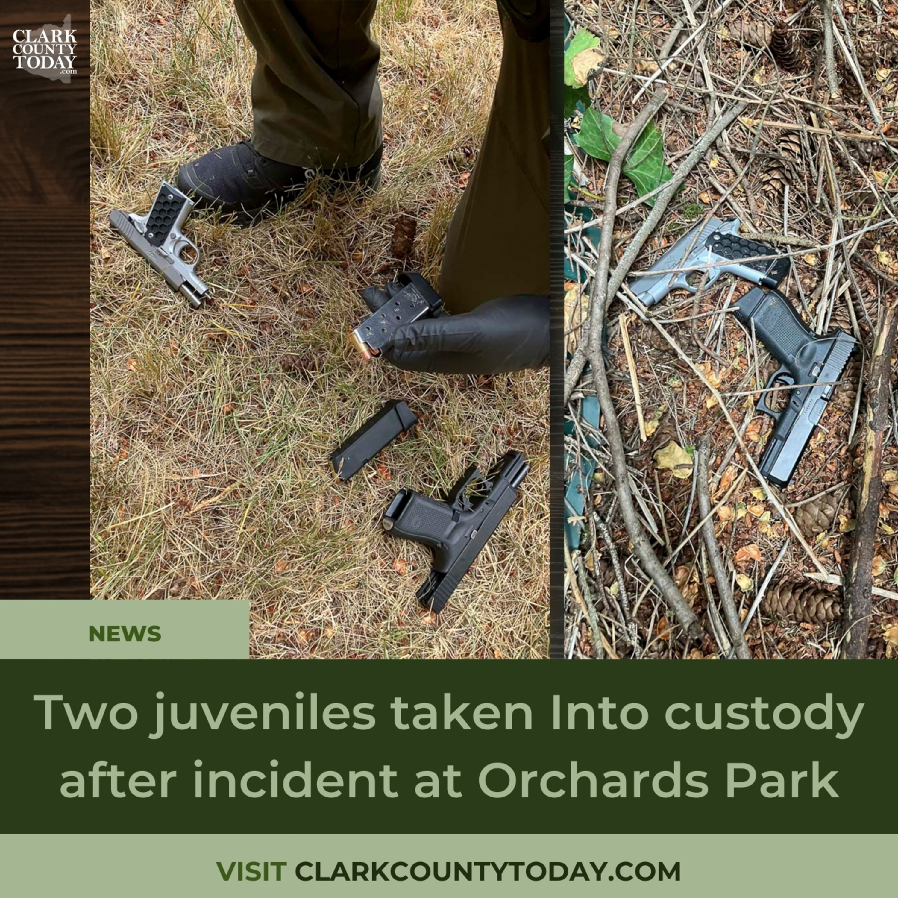 Two juveniles taken Into custody after incident at Orchards Park