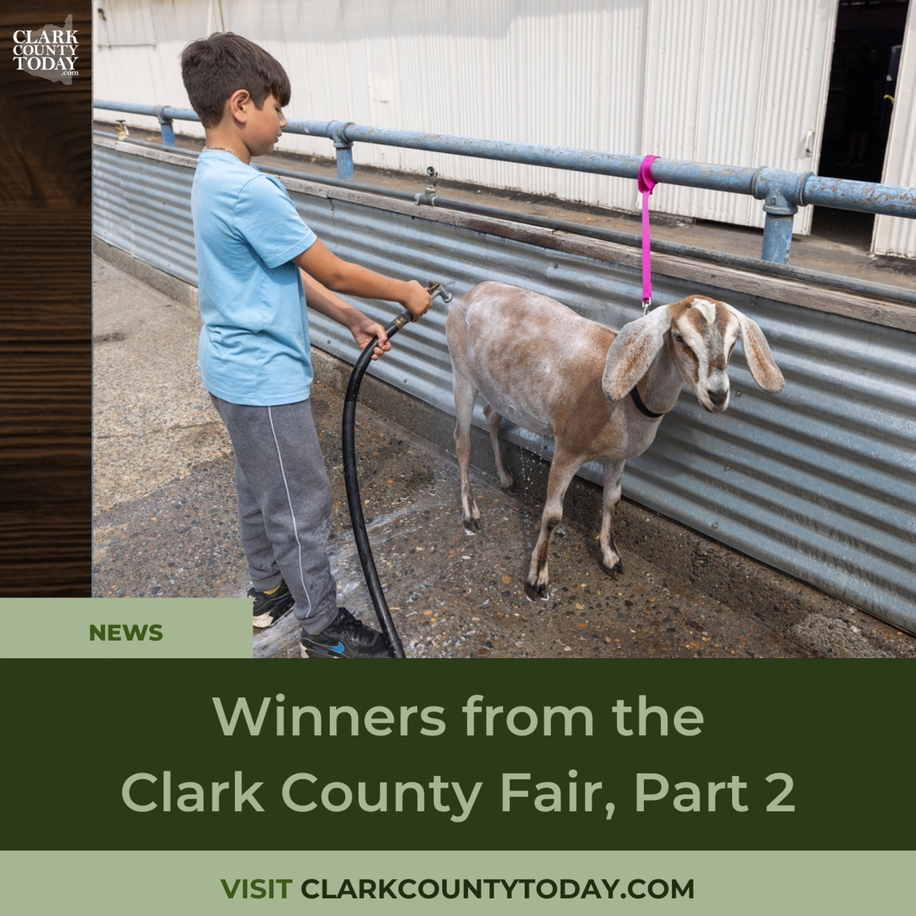Winners from the Clark County Fair, Part 2