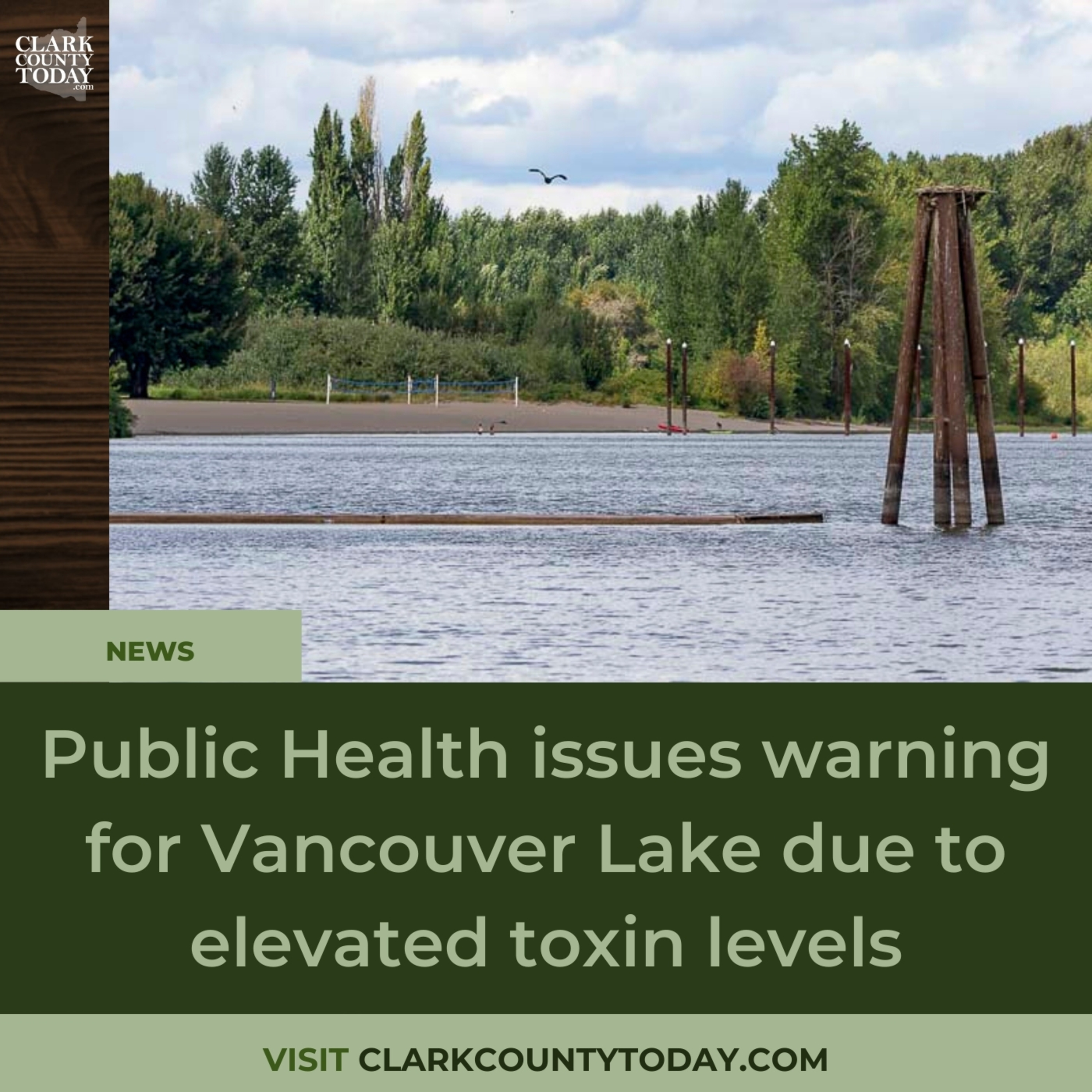 Public Health issues warning for Vancouver Lake due to elevated toxin levels