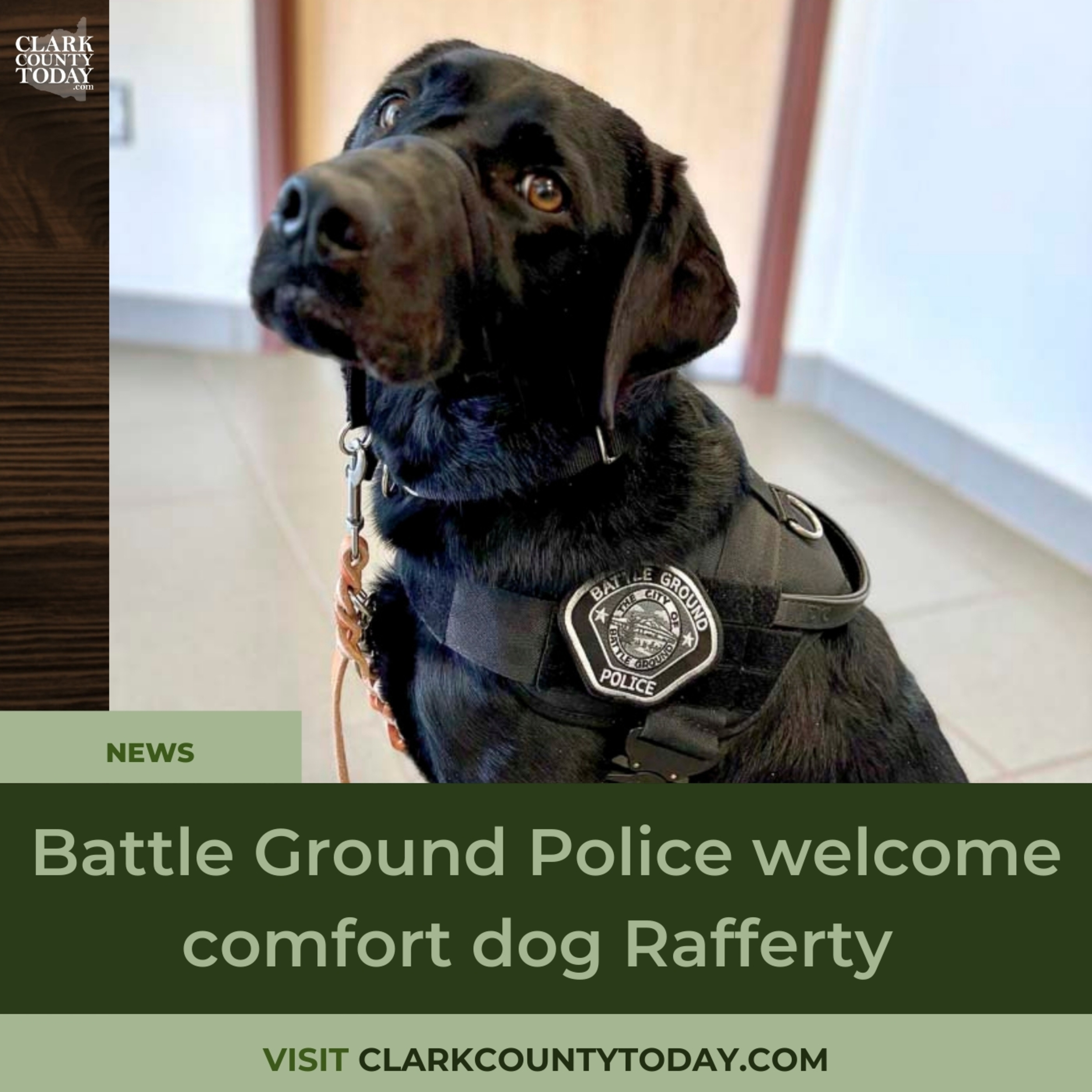 Battle Ground Police welcome comfort dog Rafferty