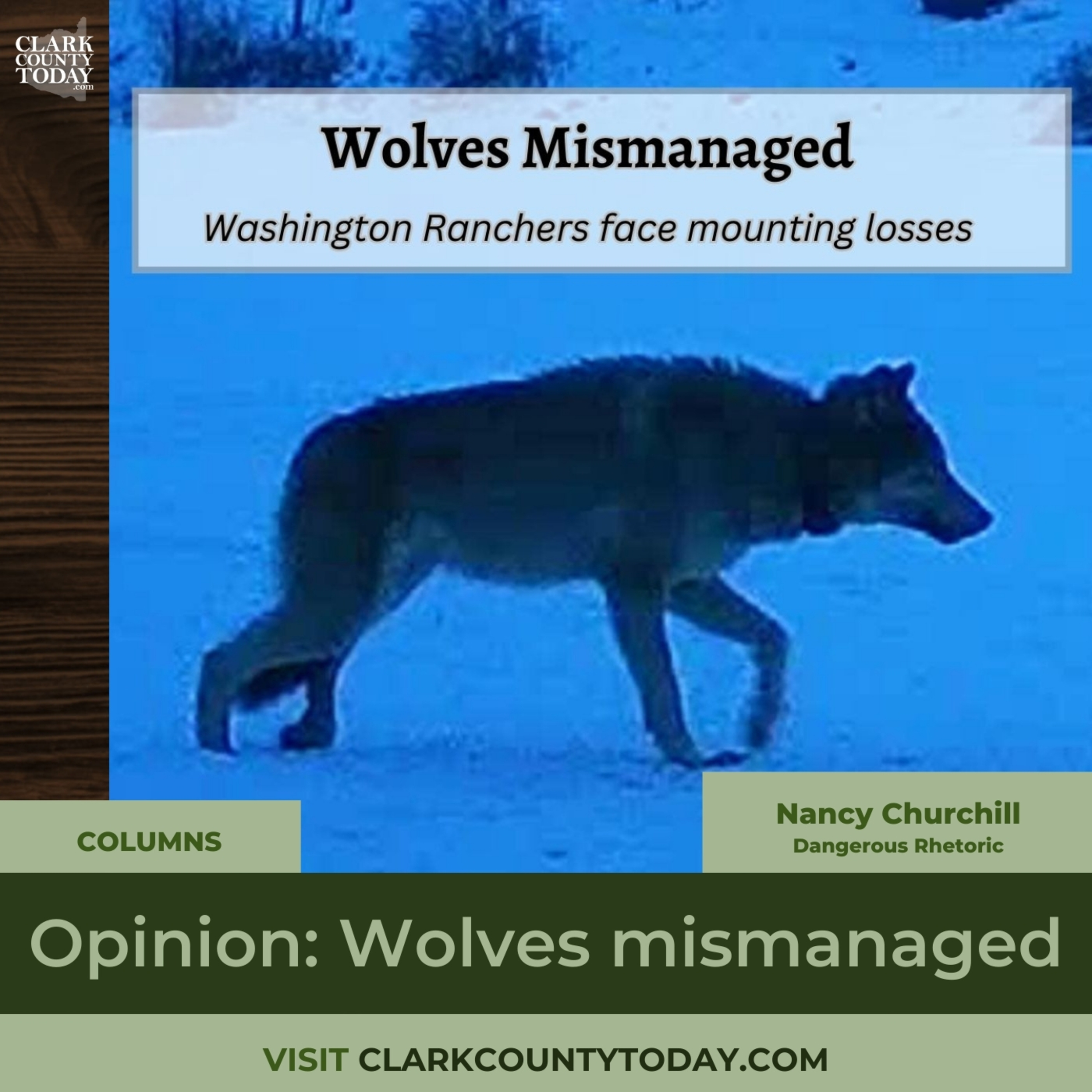 Opinion: Wolves mismanaged