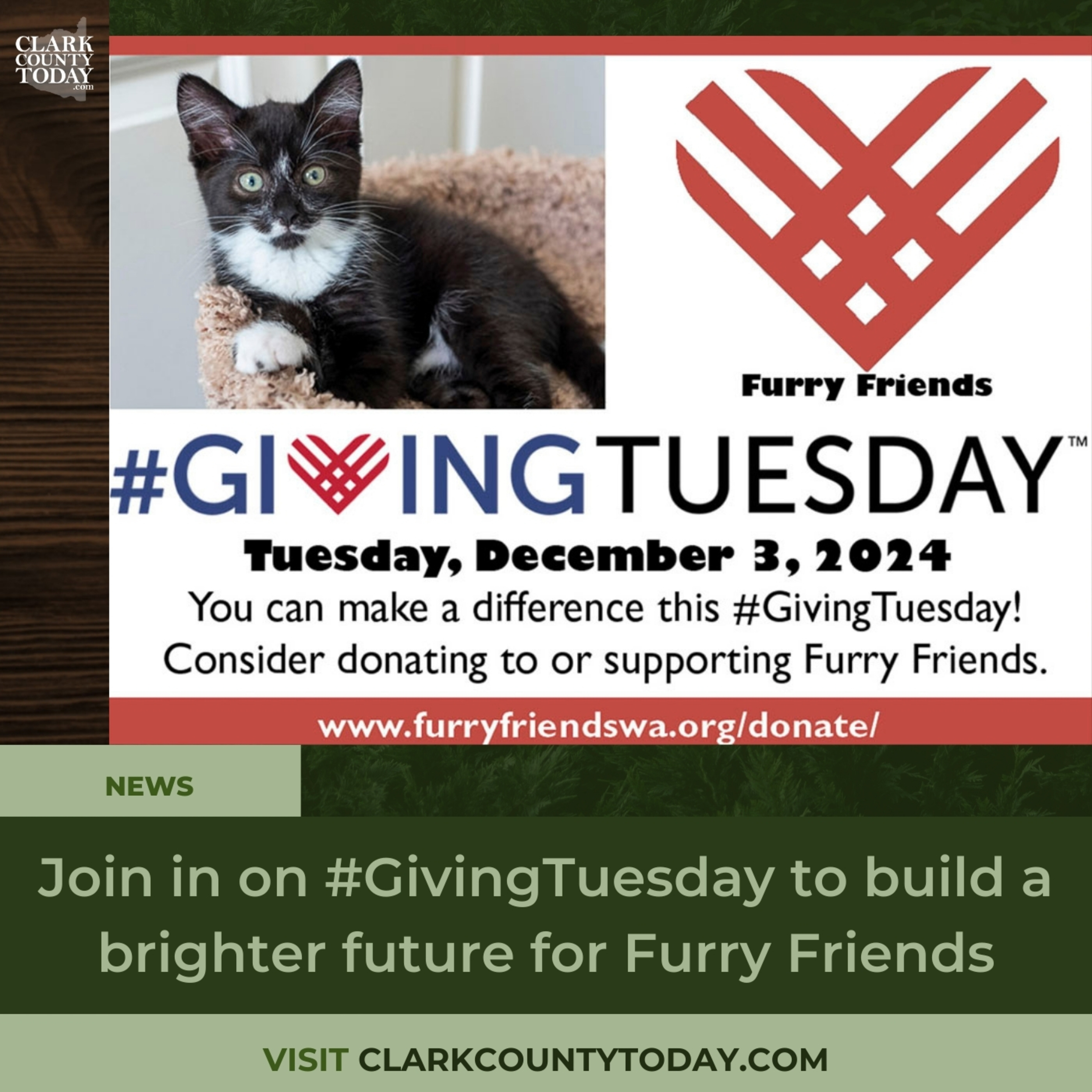 Join in on #GivingTuesday to build a brighter future for Furry Friends