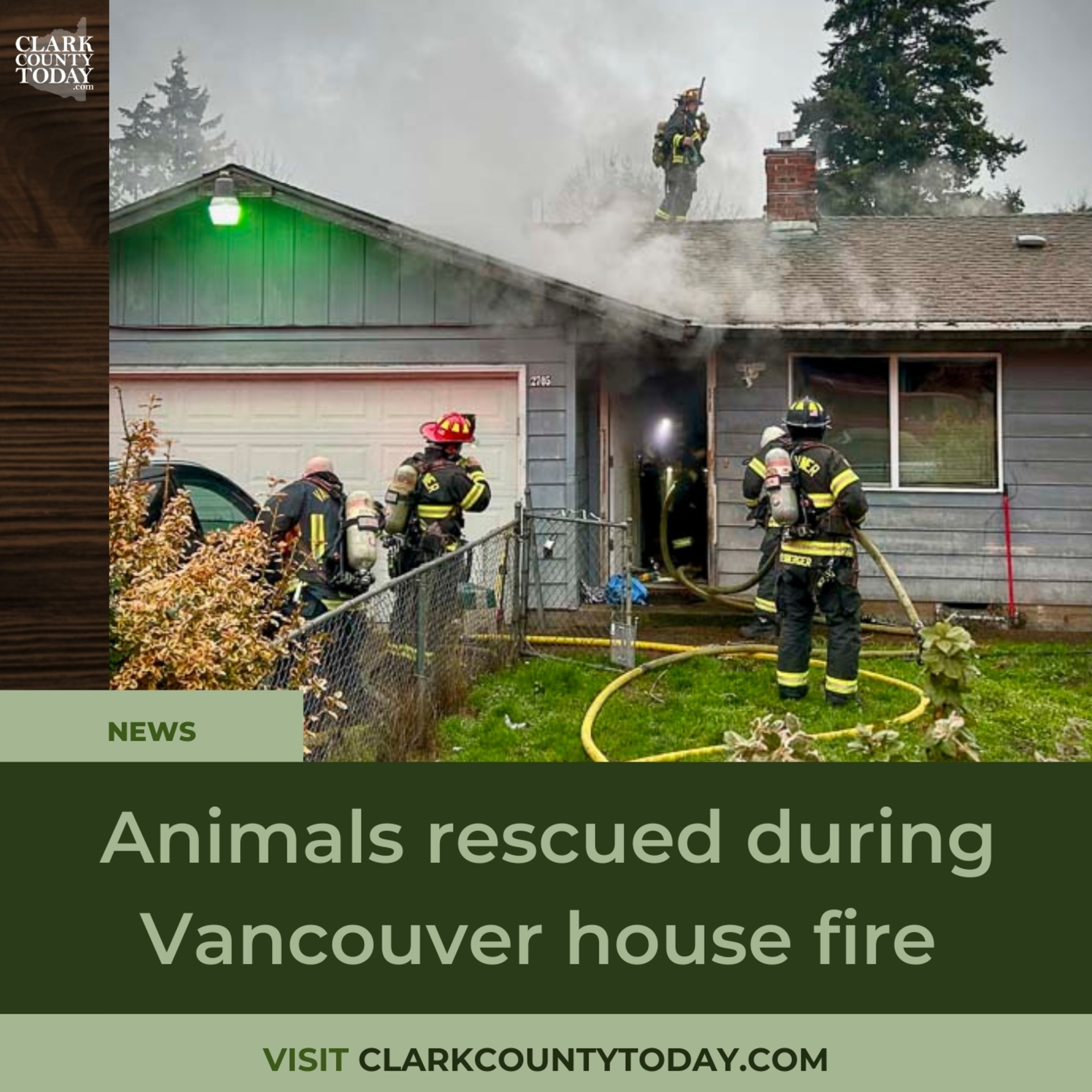 Animals rescued during Vancouver house fire