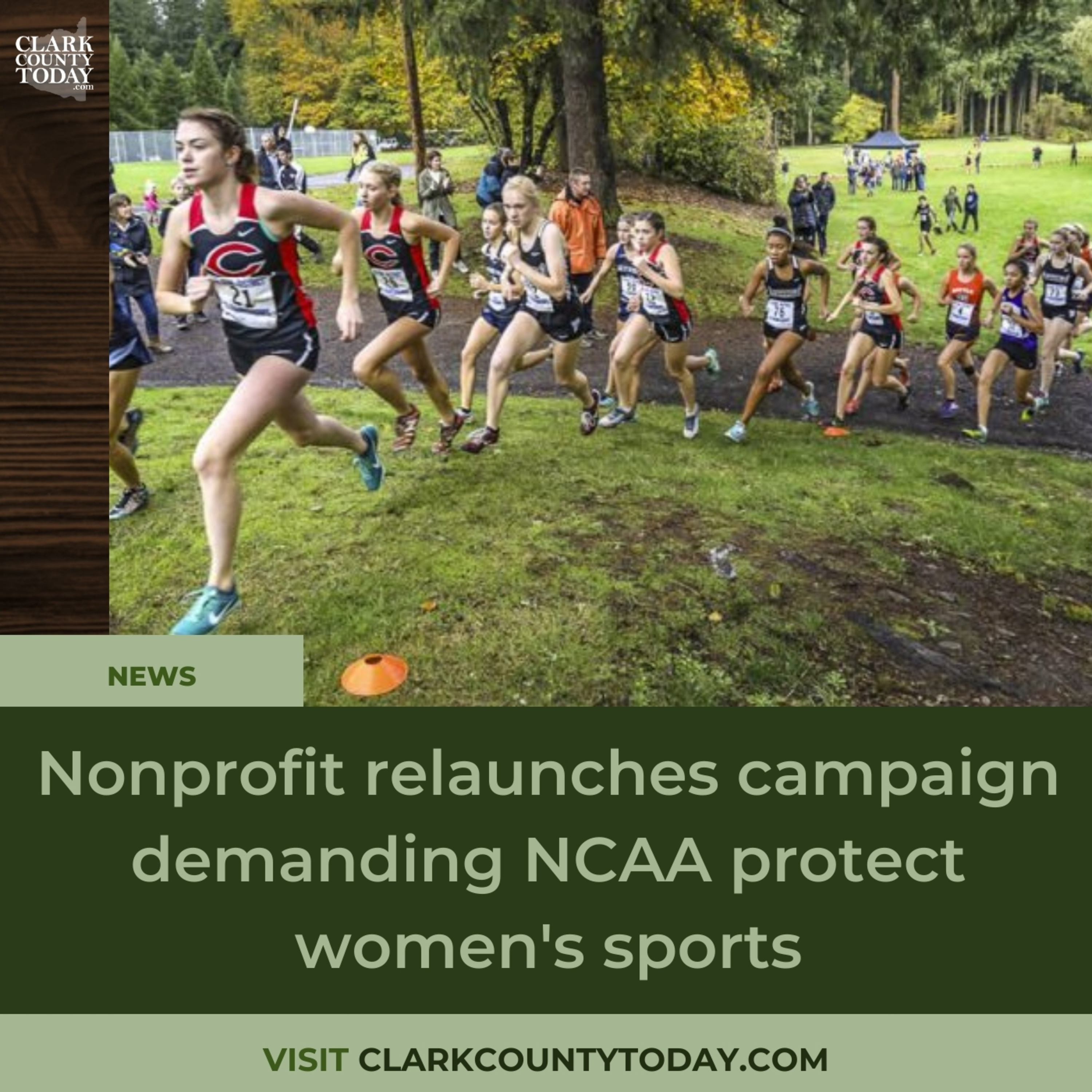 Nonprofit relaunches campaign demanding NCAA protect women's sports