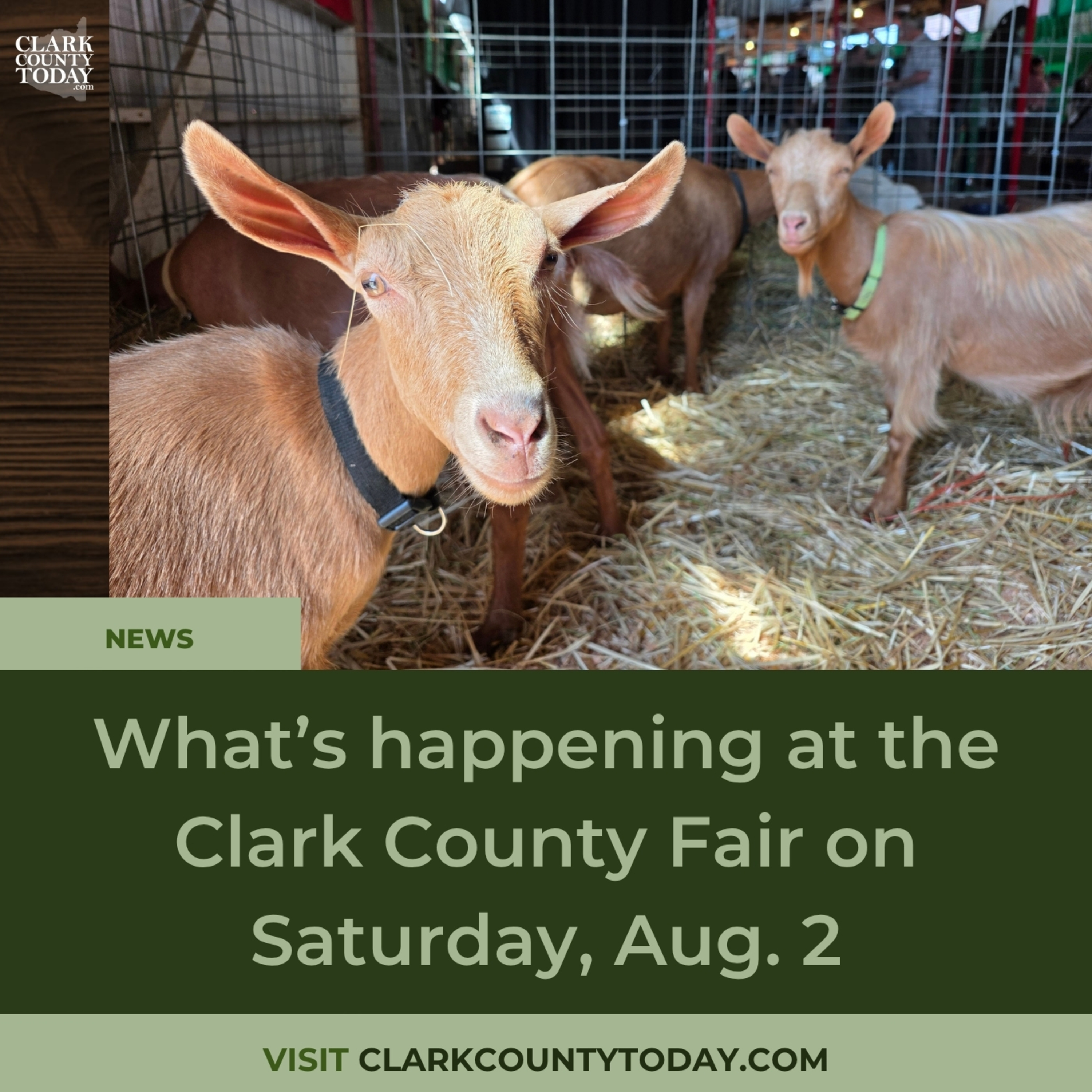 What’s happening at the Clark County Fair on Saturday, Aug. 2