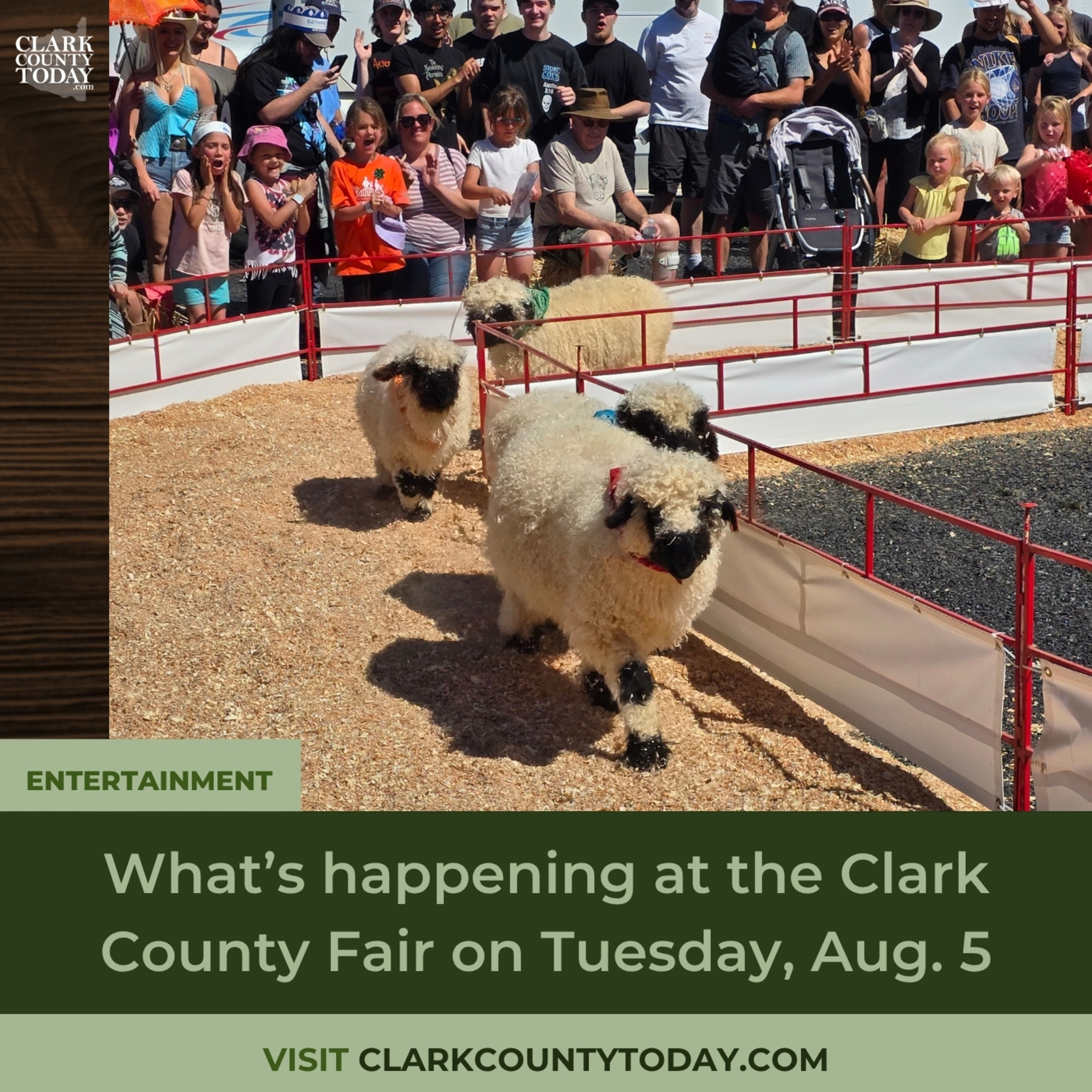 What’s happening at the Clark County Fair on Tuesday, Aug. 5