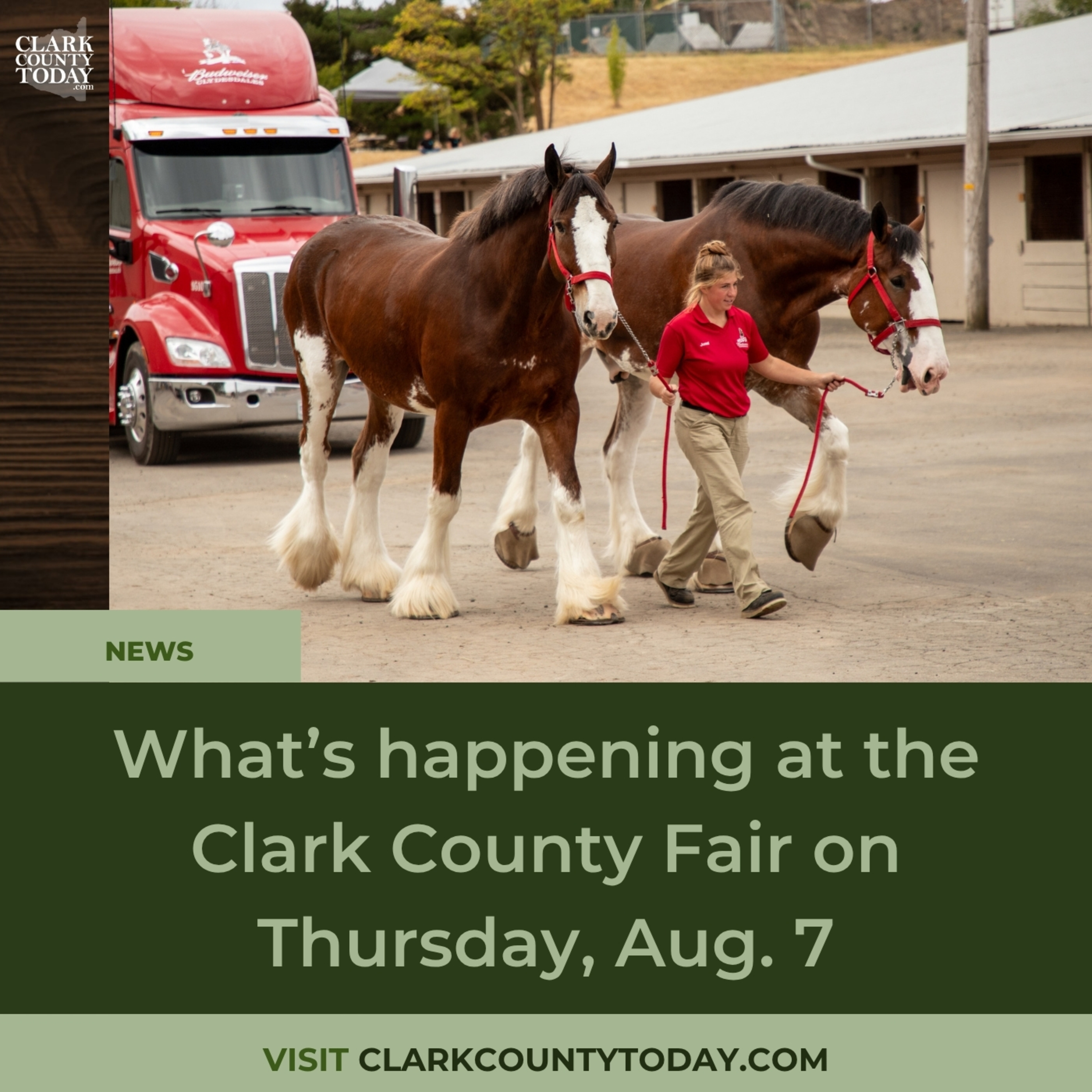 What’s happening at the Clark County Fair on Thursday, Aug. 7