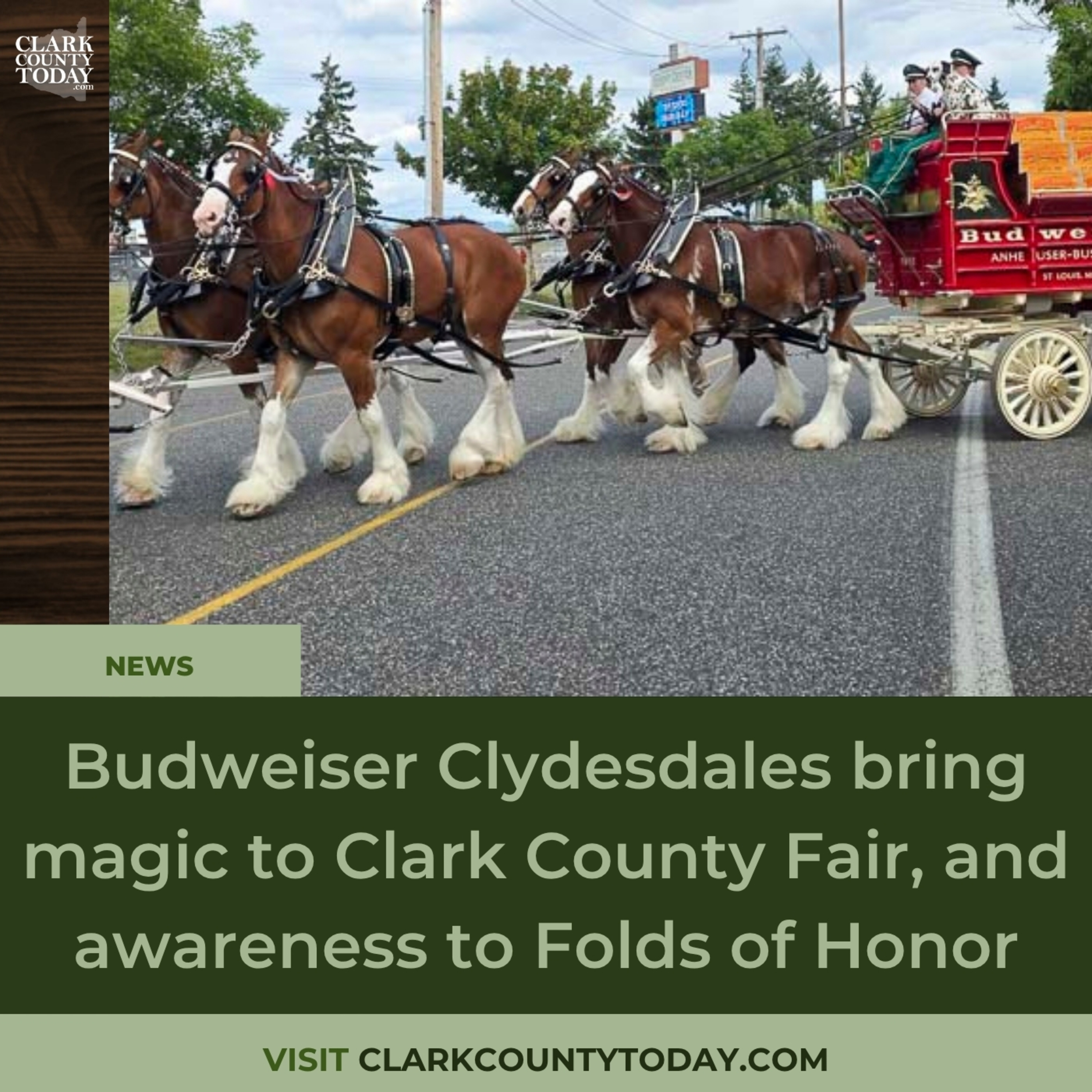 Budweiser Clydesdales bring magic to Clark County Fair, and awareness to Folds of Honor