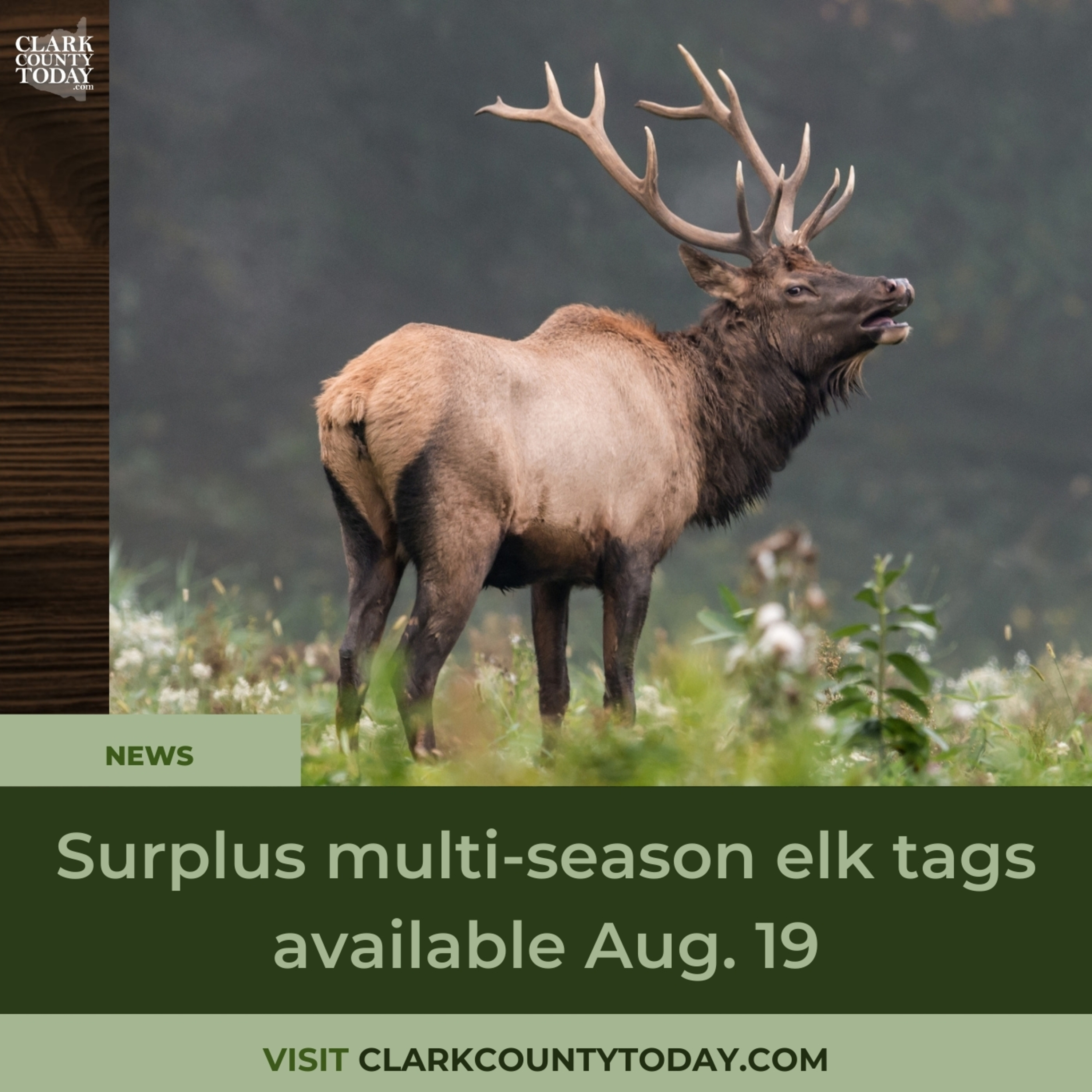Surplus multi-season elk tags available Aug. 19