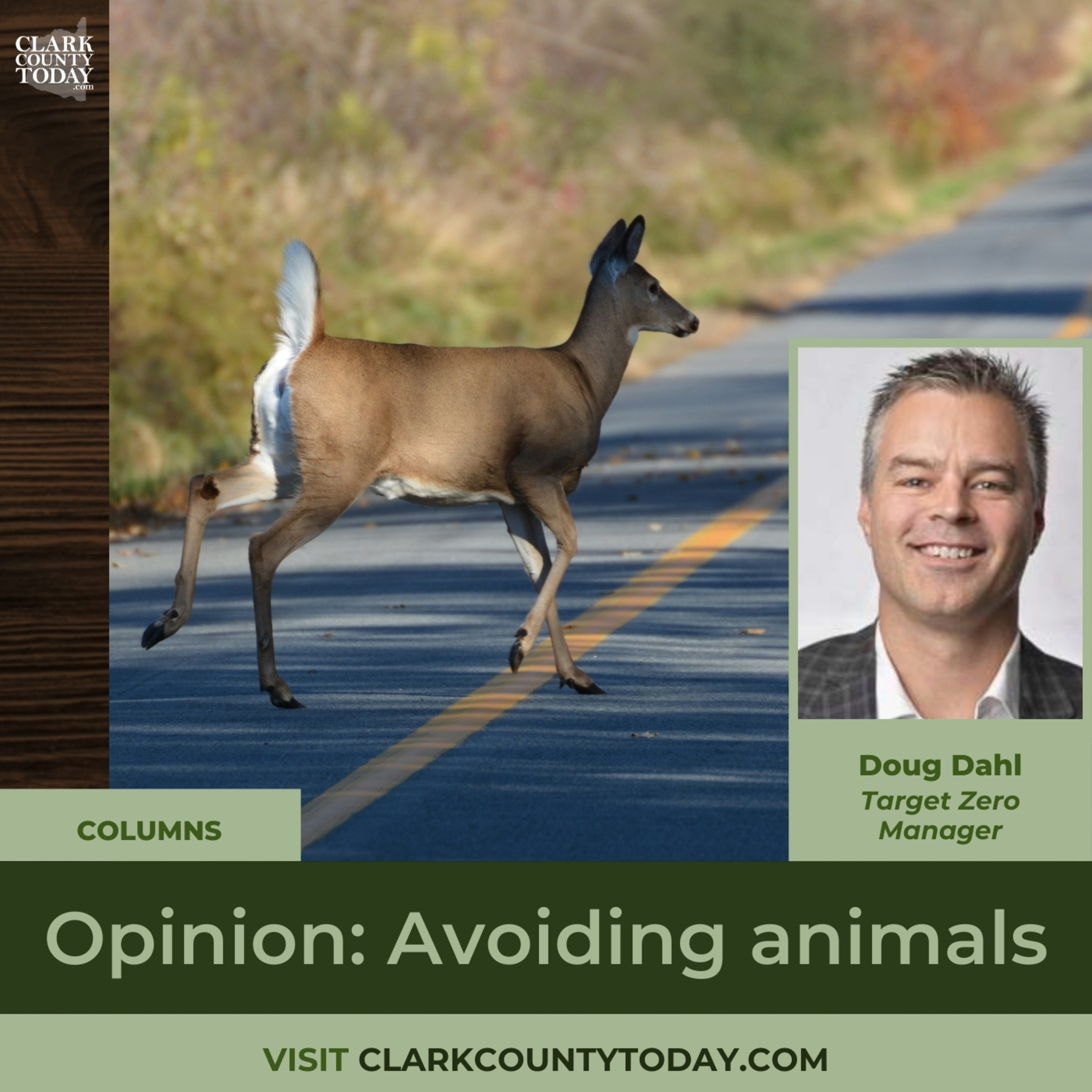 Opinion: Avoiding animals