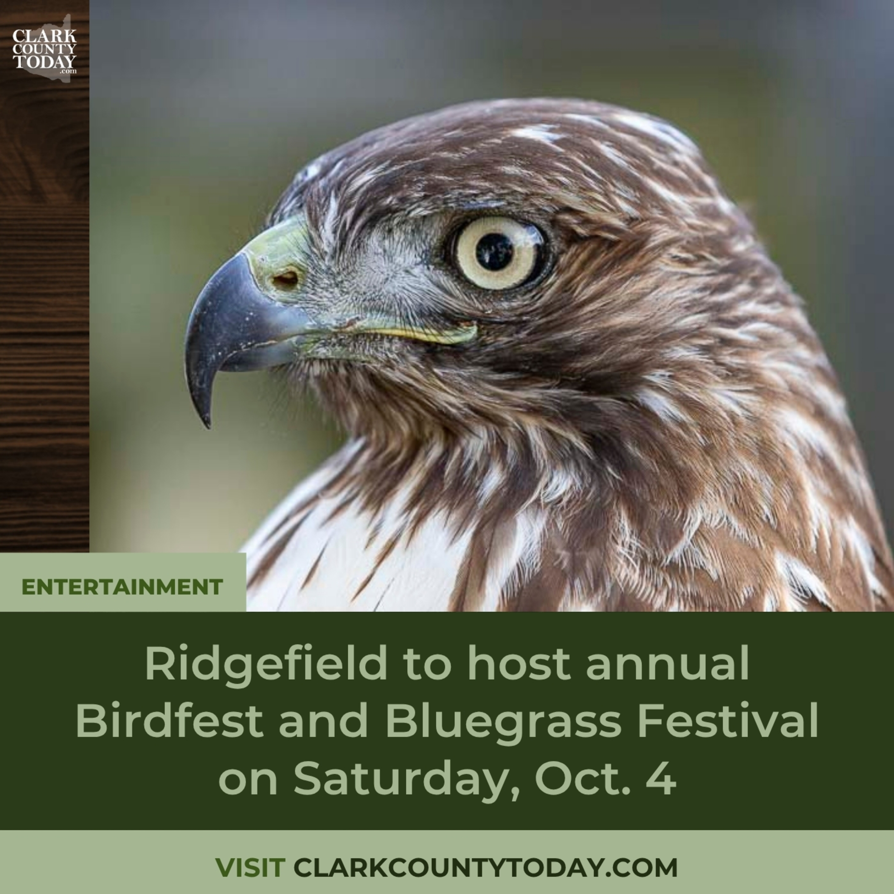 Ridgefield to host annual Birdfest and Bluegrass Festival on Saturday, Oct. 4
