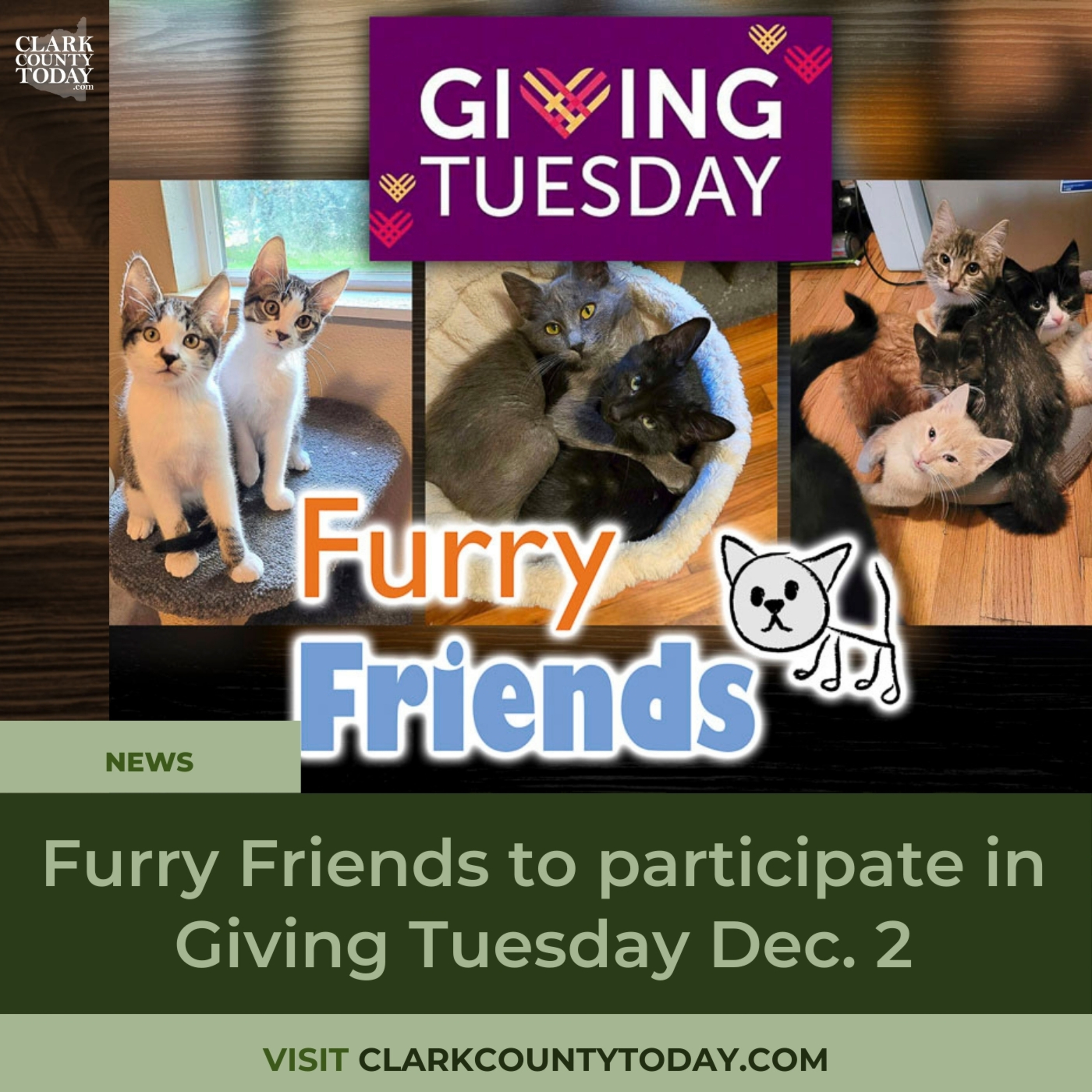 Furry Friends to participate in Giving Tuesday Dec. 2