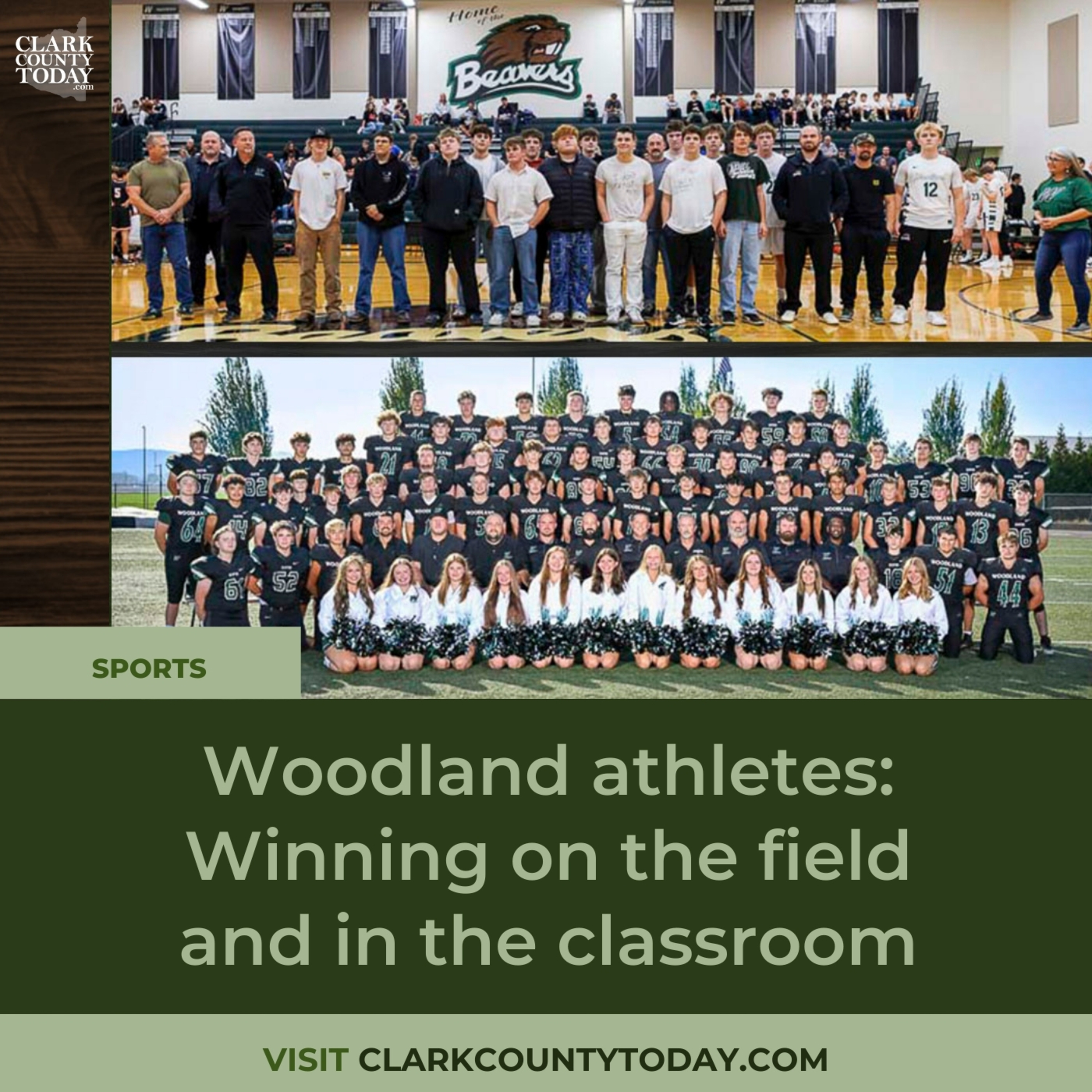 Woodland athletes: Winning on the field and in the classroom