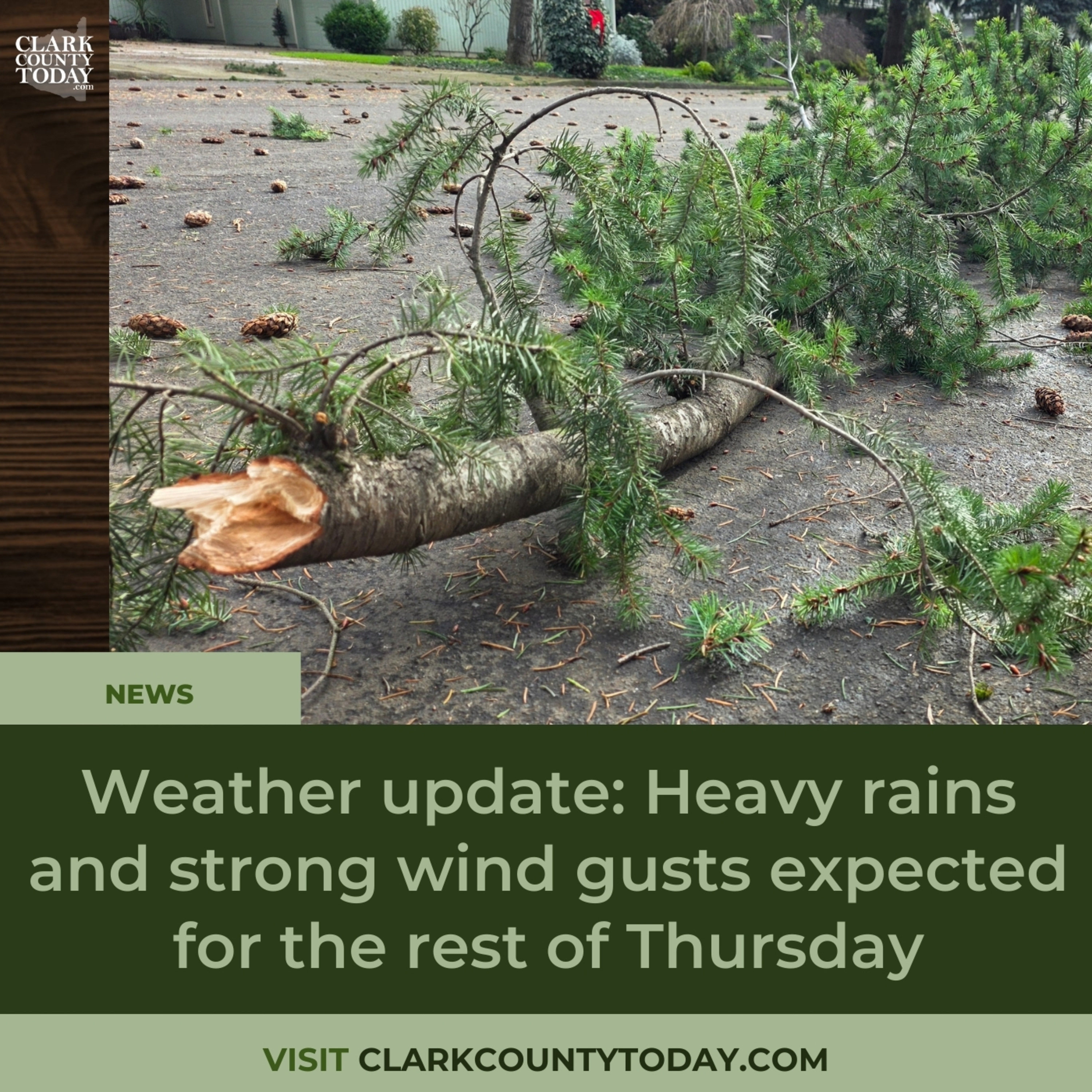 Weather update: Heavy rains and strong wind gusts expected for the rest of Thursday