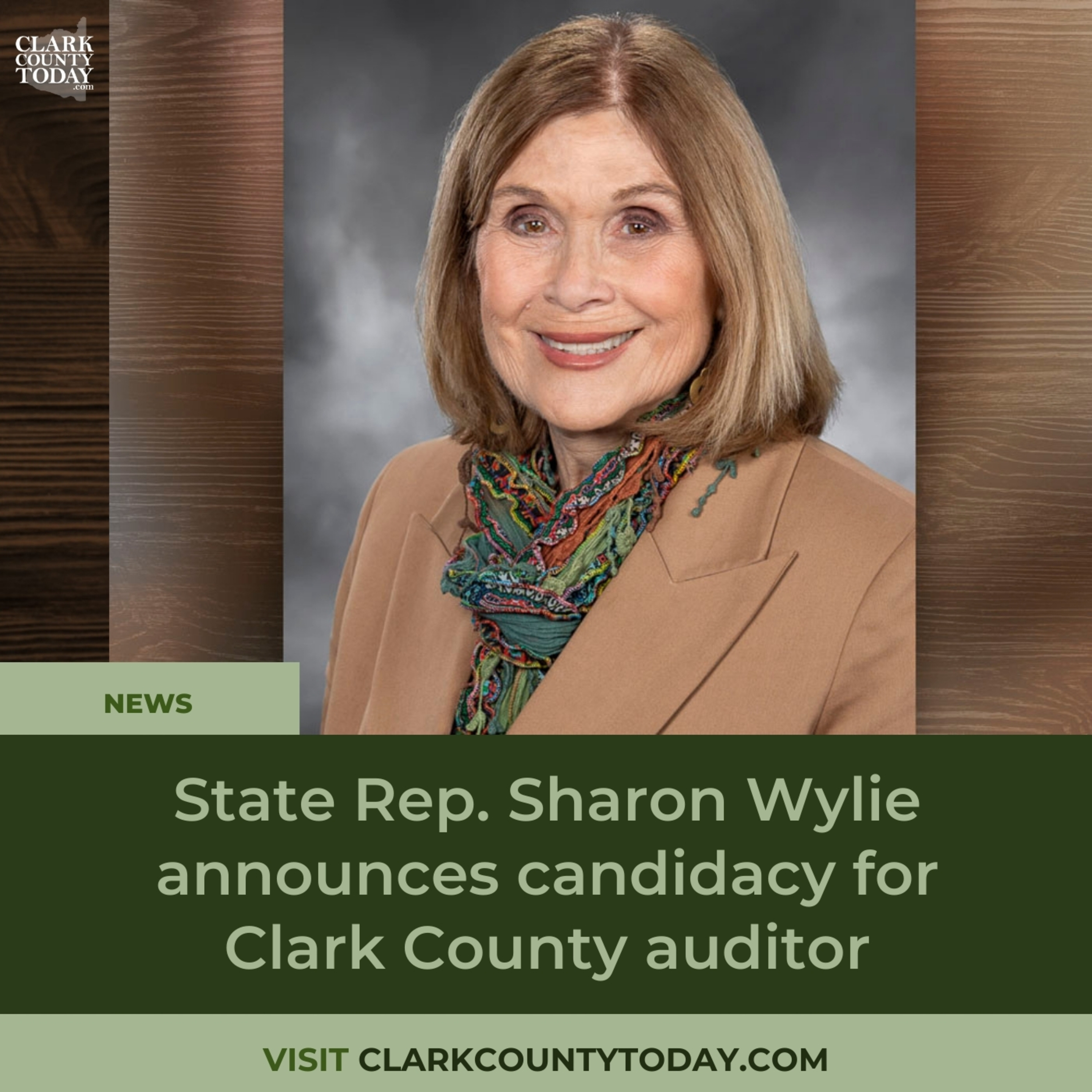 State Rep. Sharon Wylie announces candidacy for Clark County auditor